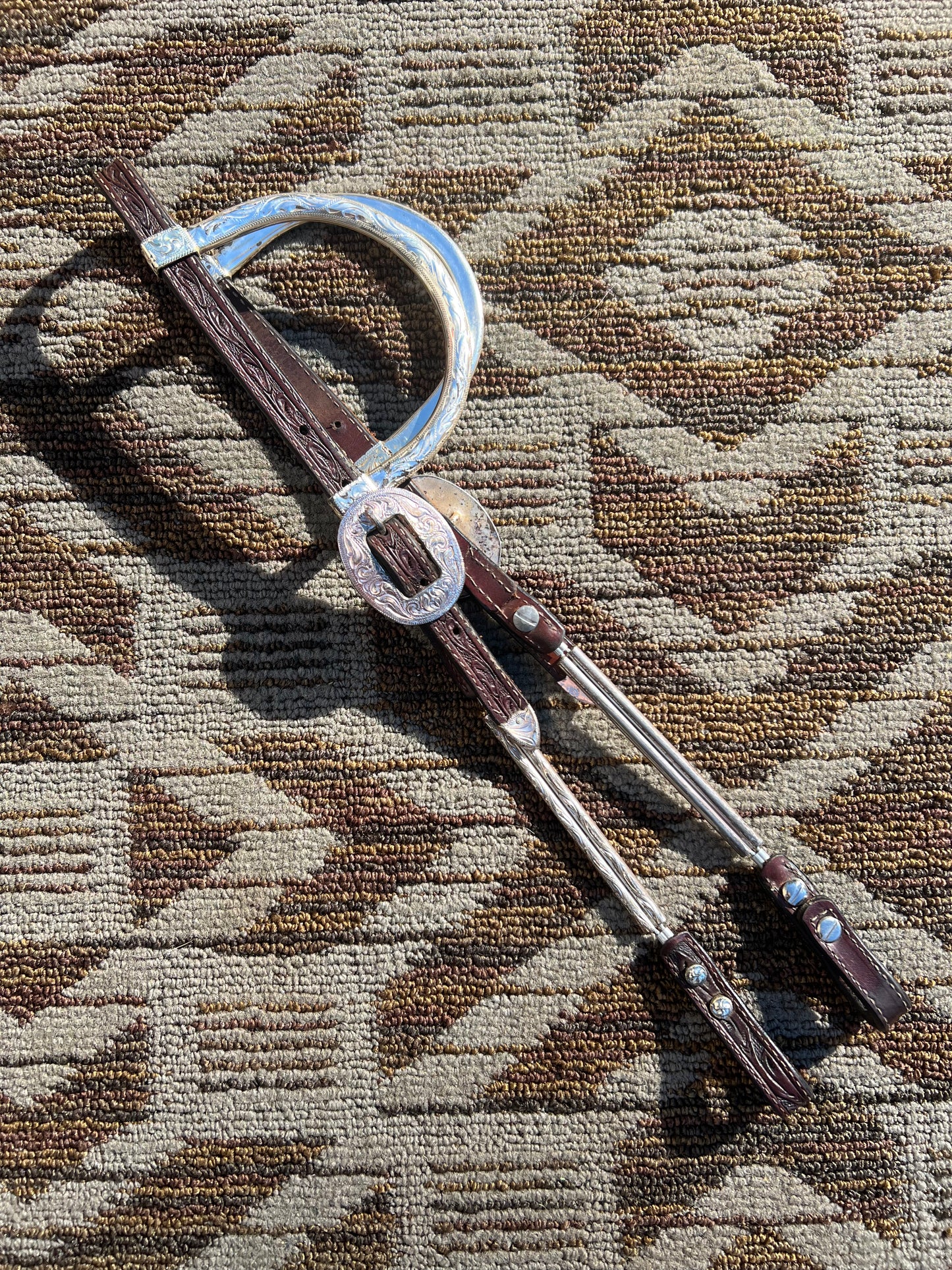 Silver Double Ear Headstall