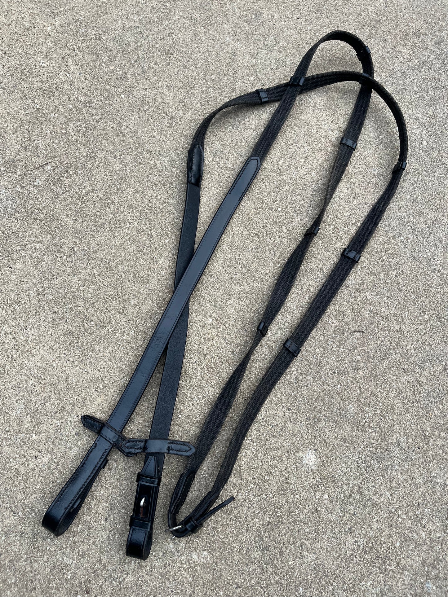 Black Webbed Reins