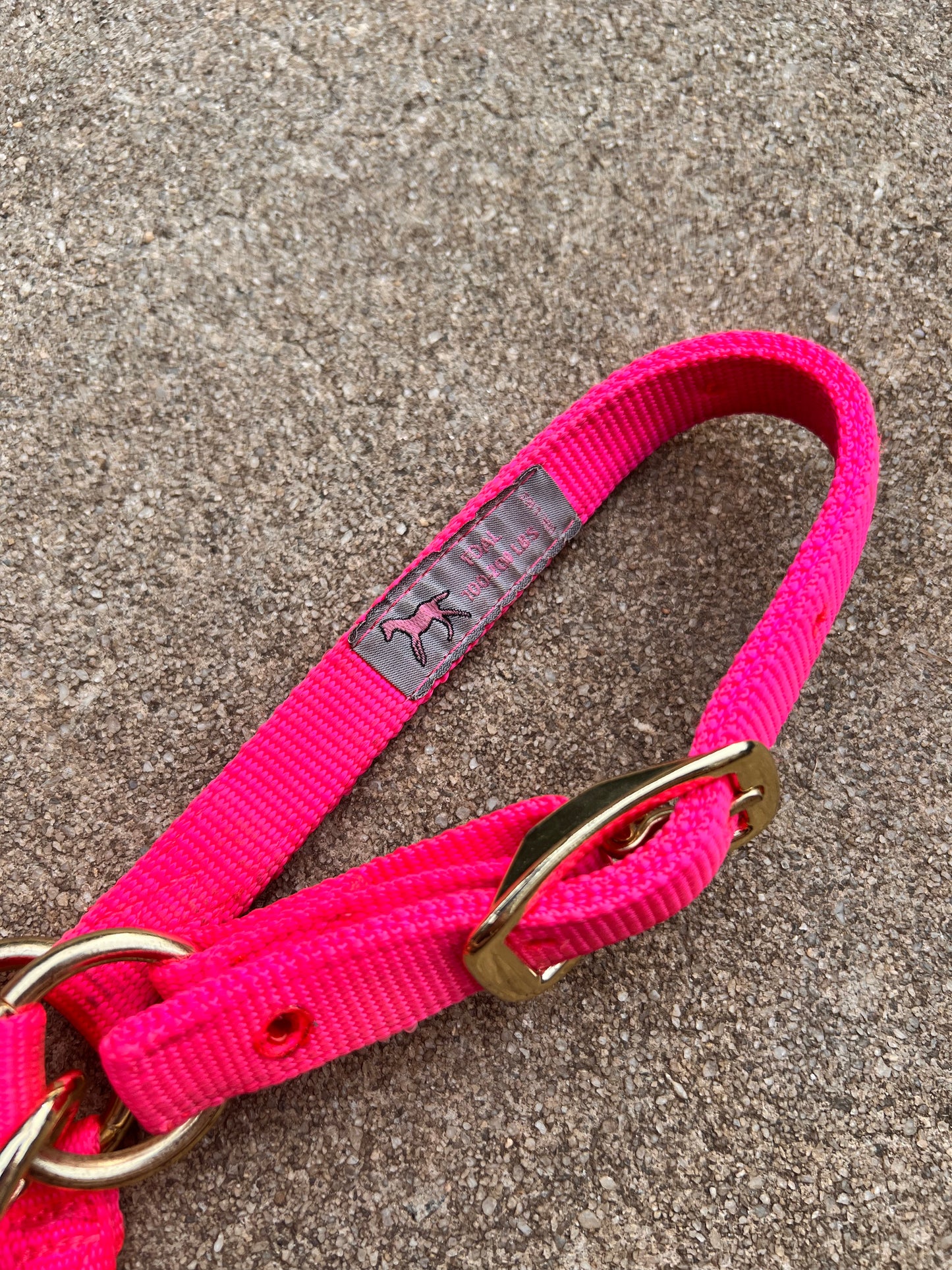 Hot Pink Foal Halter