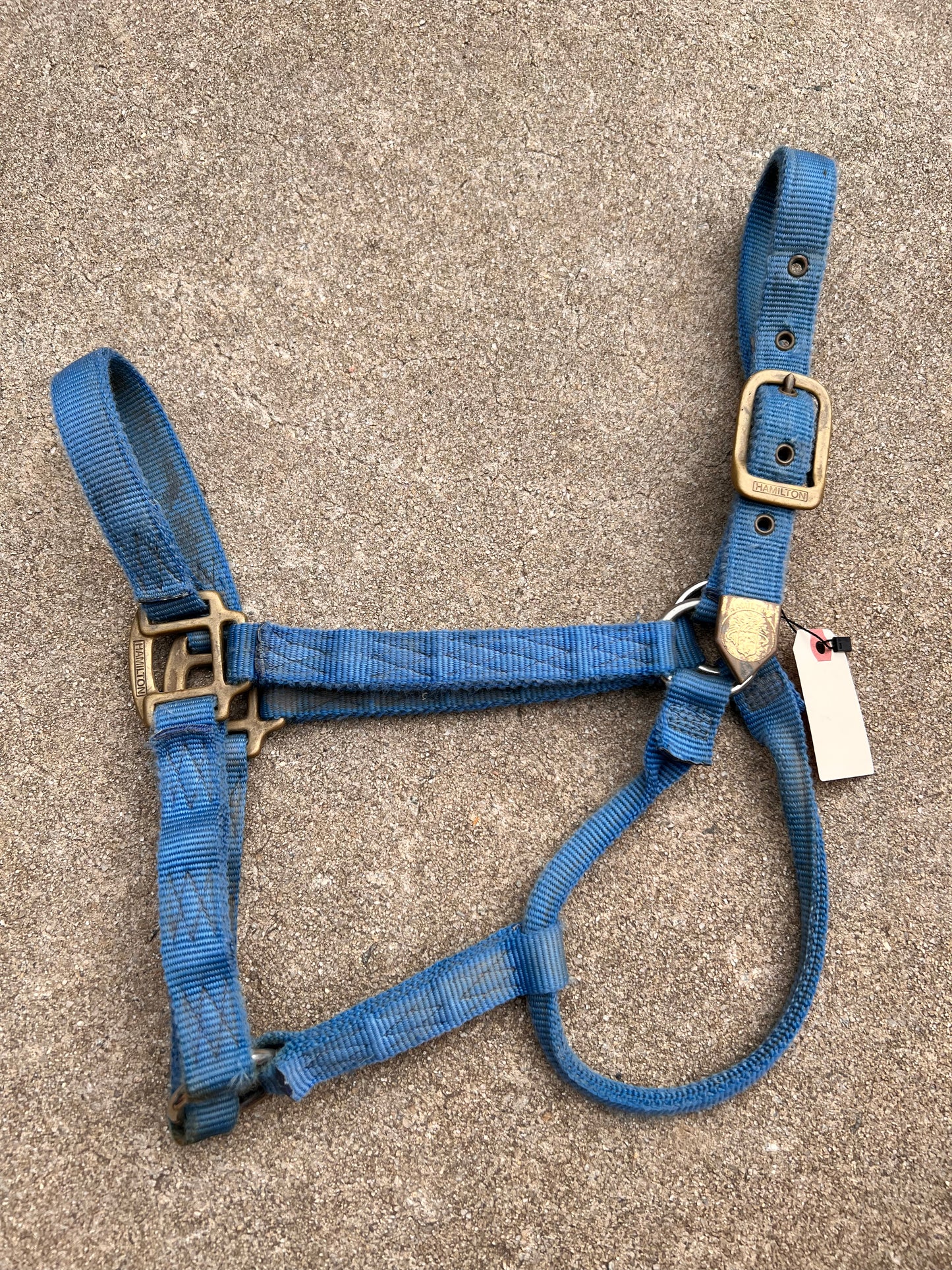 Blue Hamilton Halter - Large Horse