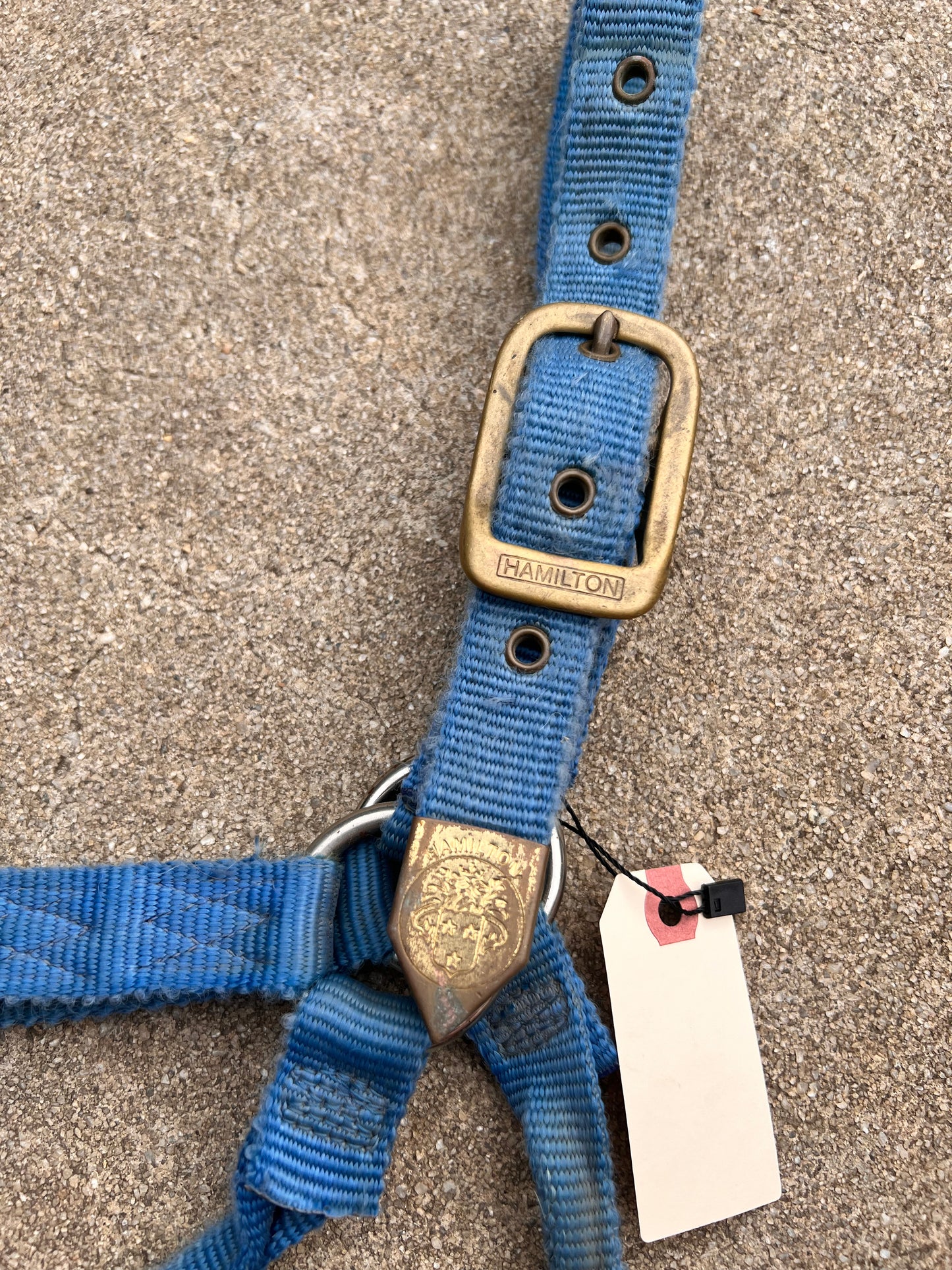 Blue Hamilton Halter - Large Horse