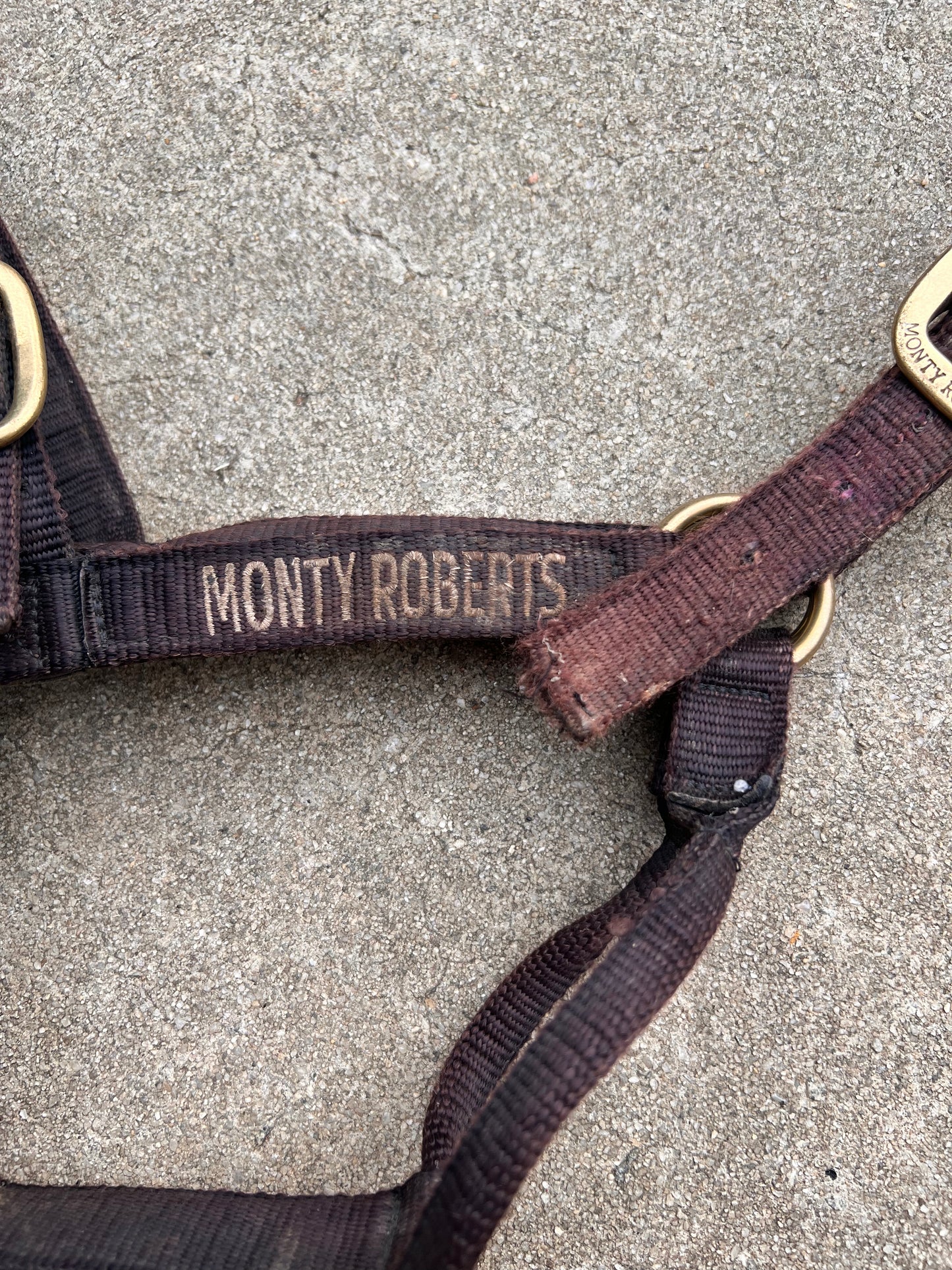 Monty Roberts Riding Halter