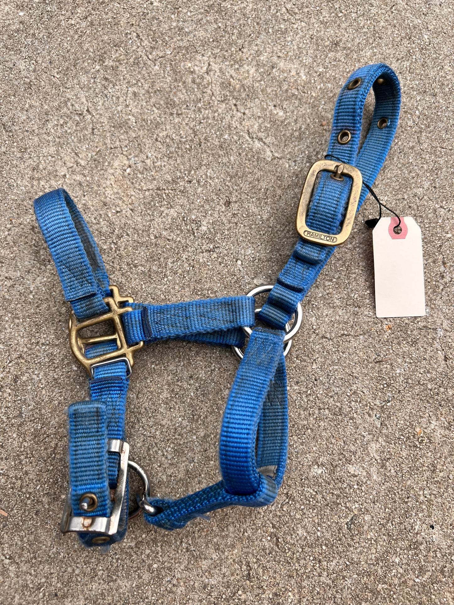 Hamilton Mini Halter