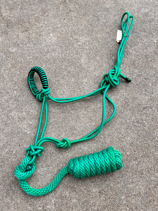 Green Rope Halter w/ Matching Lead - Draft