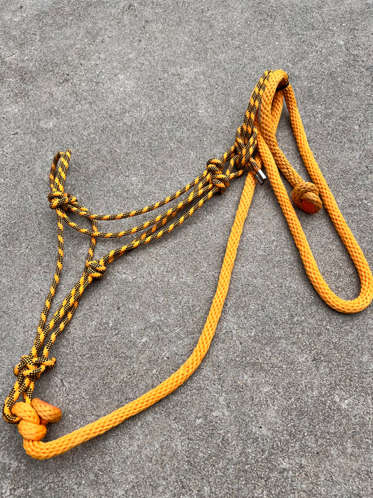 Orange Rope Halter w/ Matching Lead - Standard