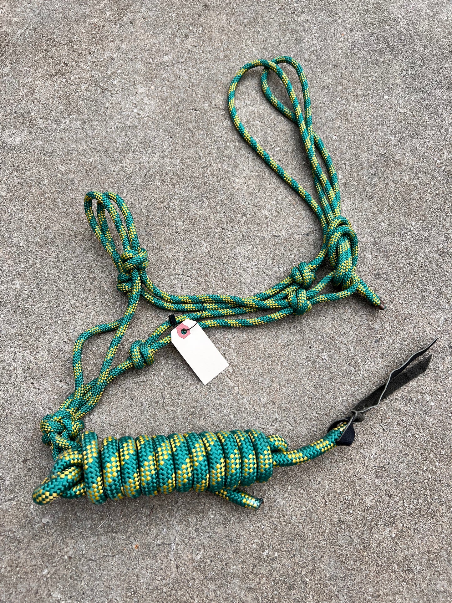 Green Rope Halter w/ Matching Lead - Standard