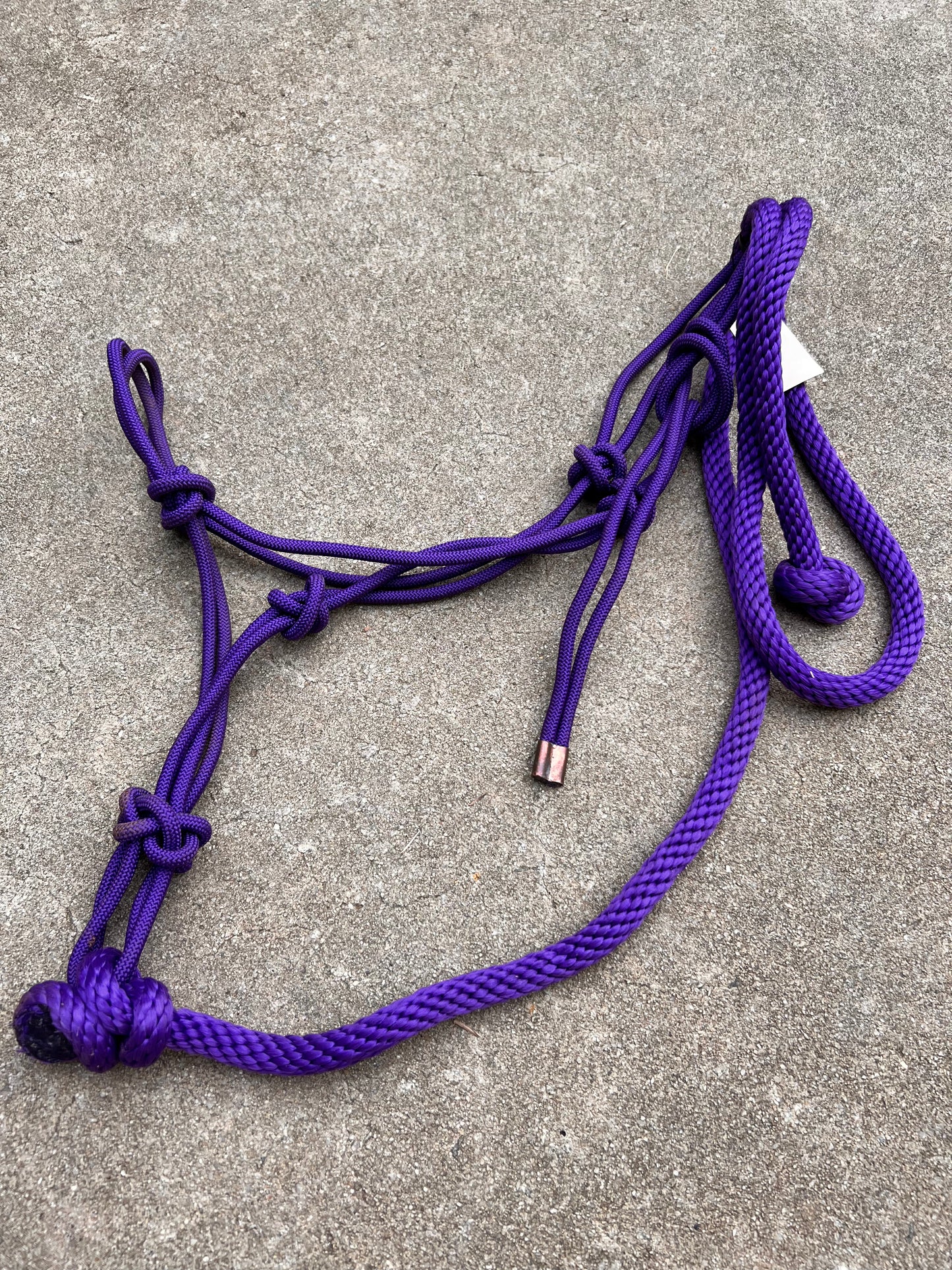 Purple Rope Halter w/ Matching Lead - Standard