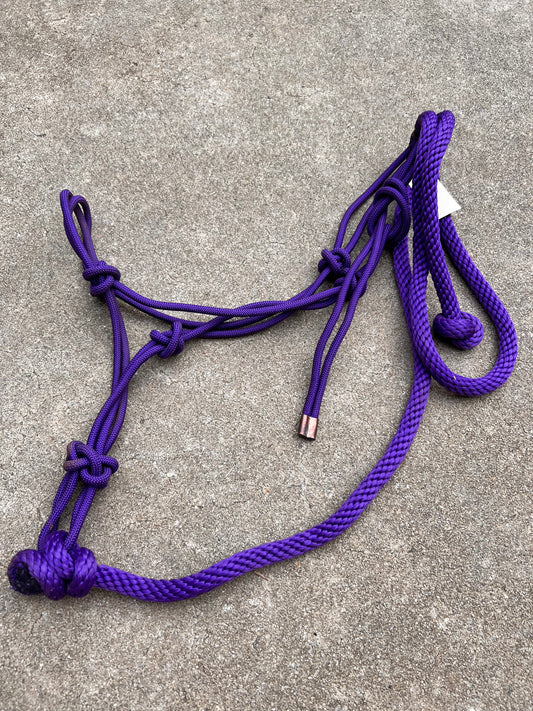 Purple Rope Halter w/ Matching Lead - Standard