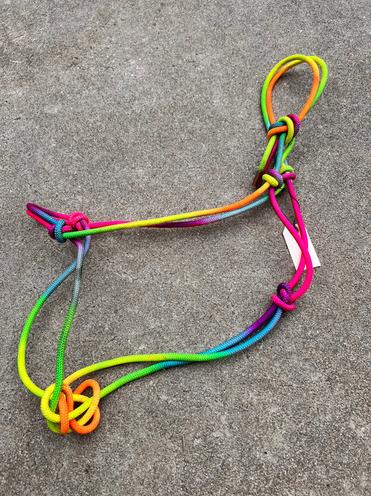 Rainbow Rope Halter - Draft