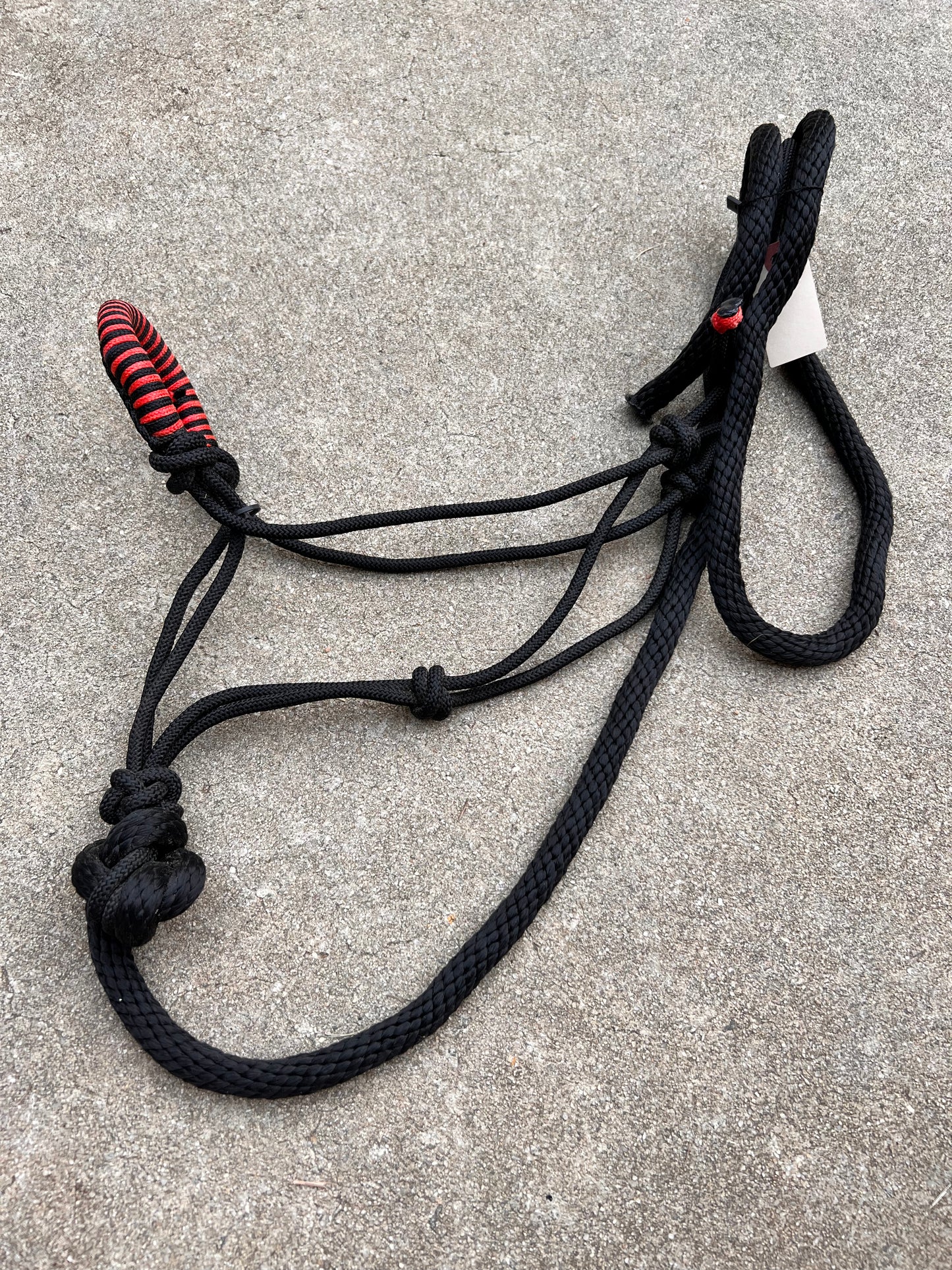 Black/Red Rope Halter w/ Matching Lead - Standard