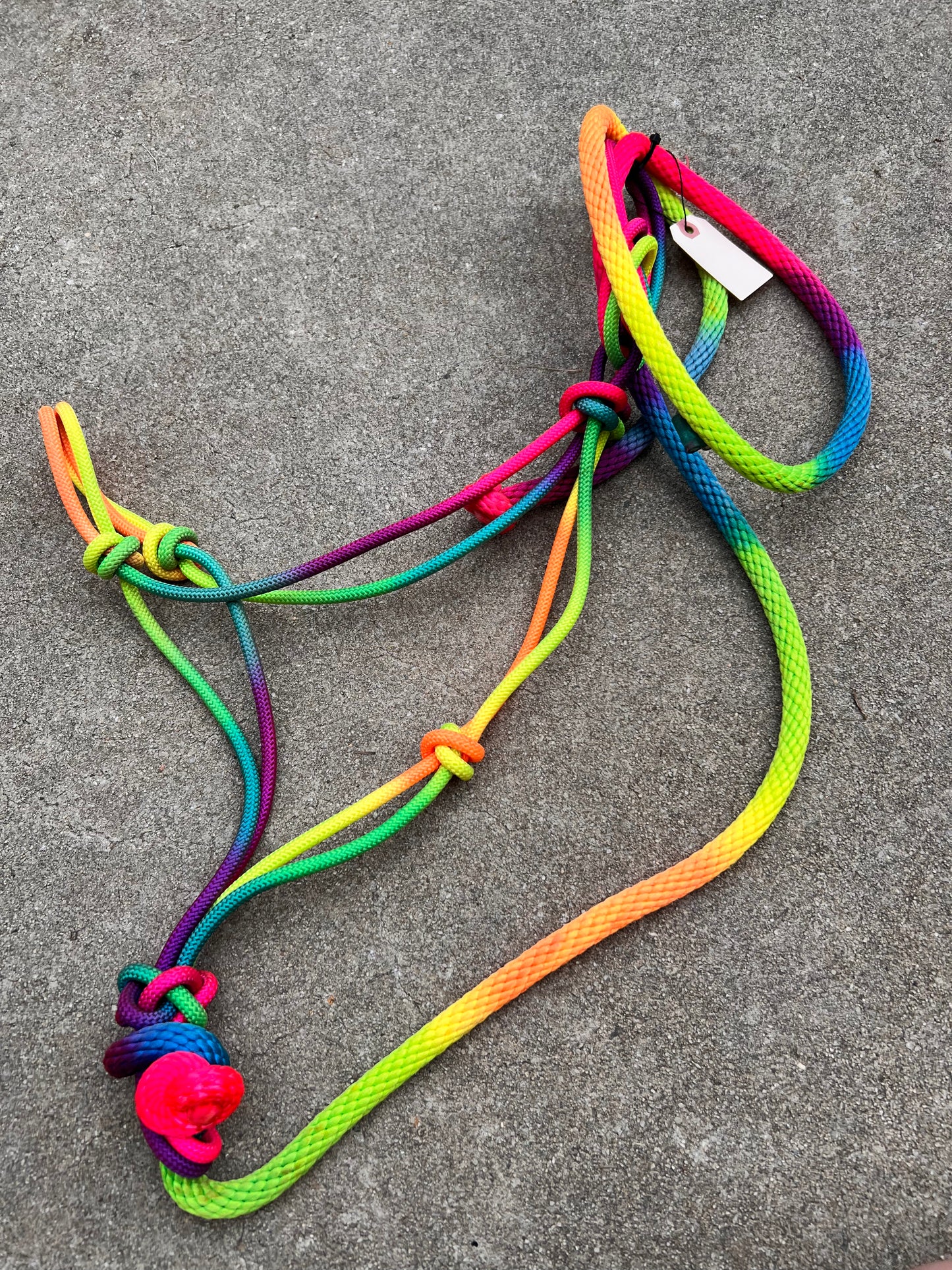 Rainbow Rope Halter w/ Matching Lead - Standard