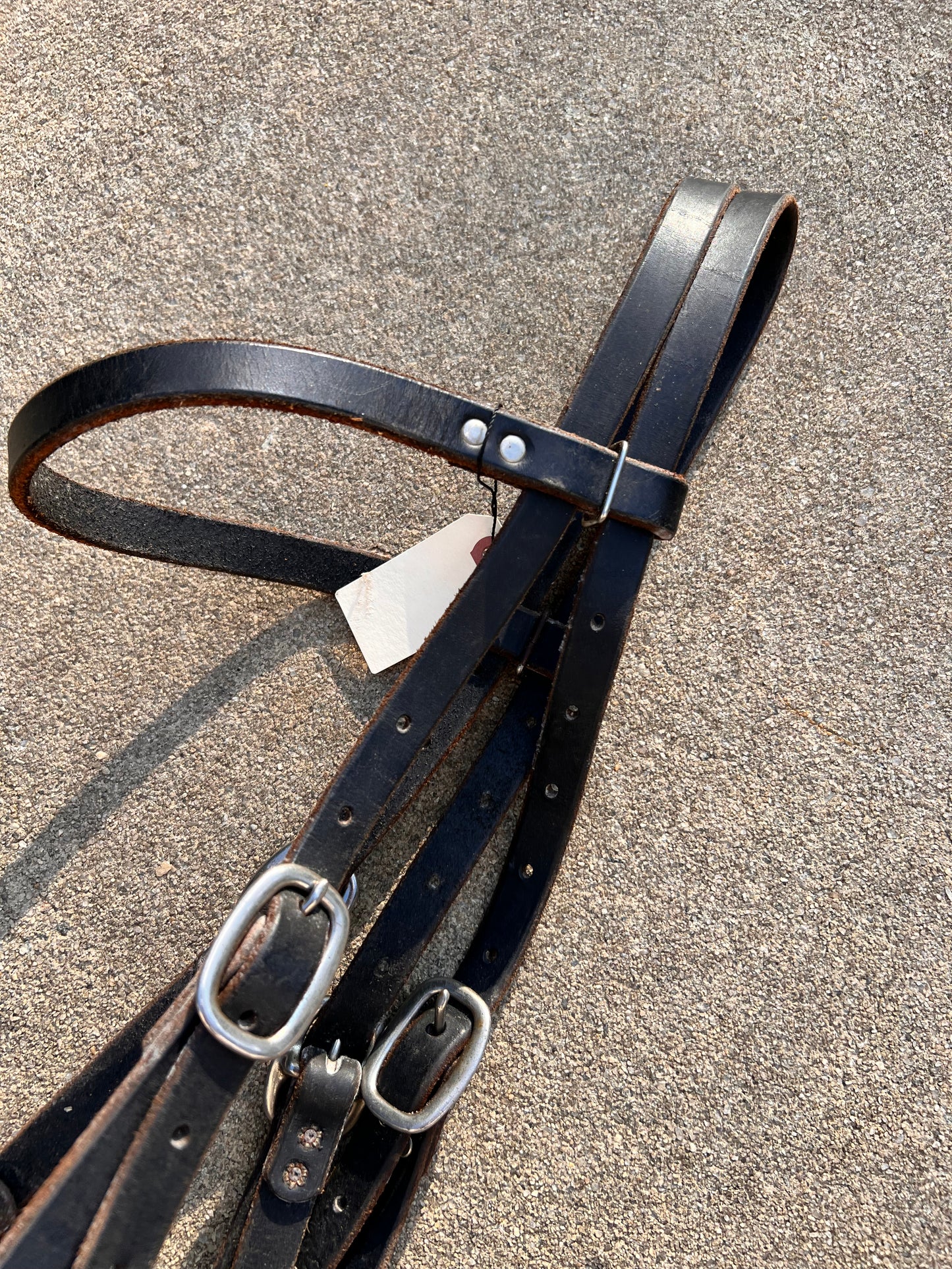 Metal Loping Hackamore