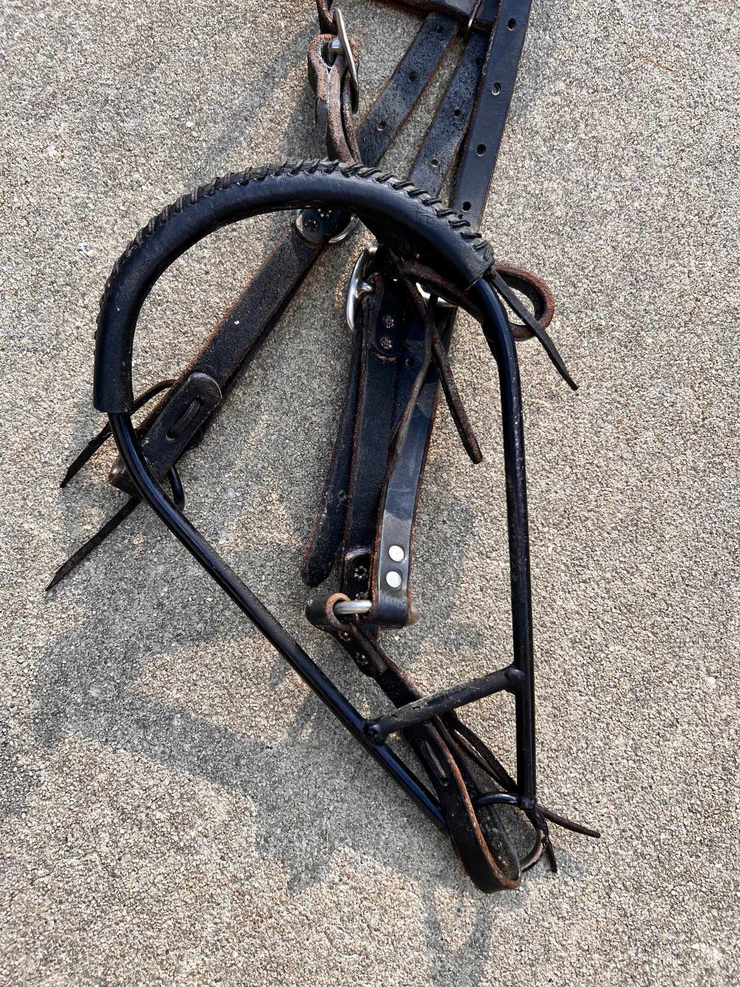 Metal Loping Hackamore