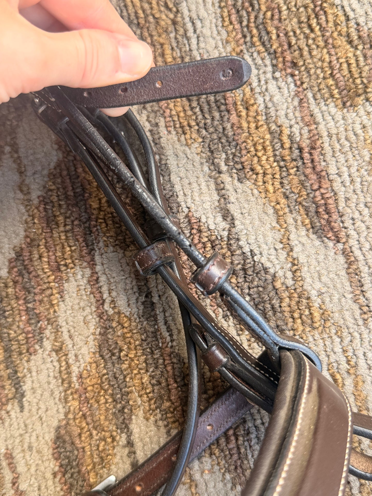 Artemis Fancy Stitched Bridle w/ Padded Crown