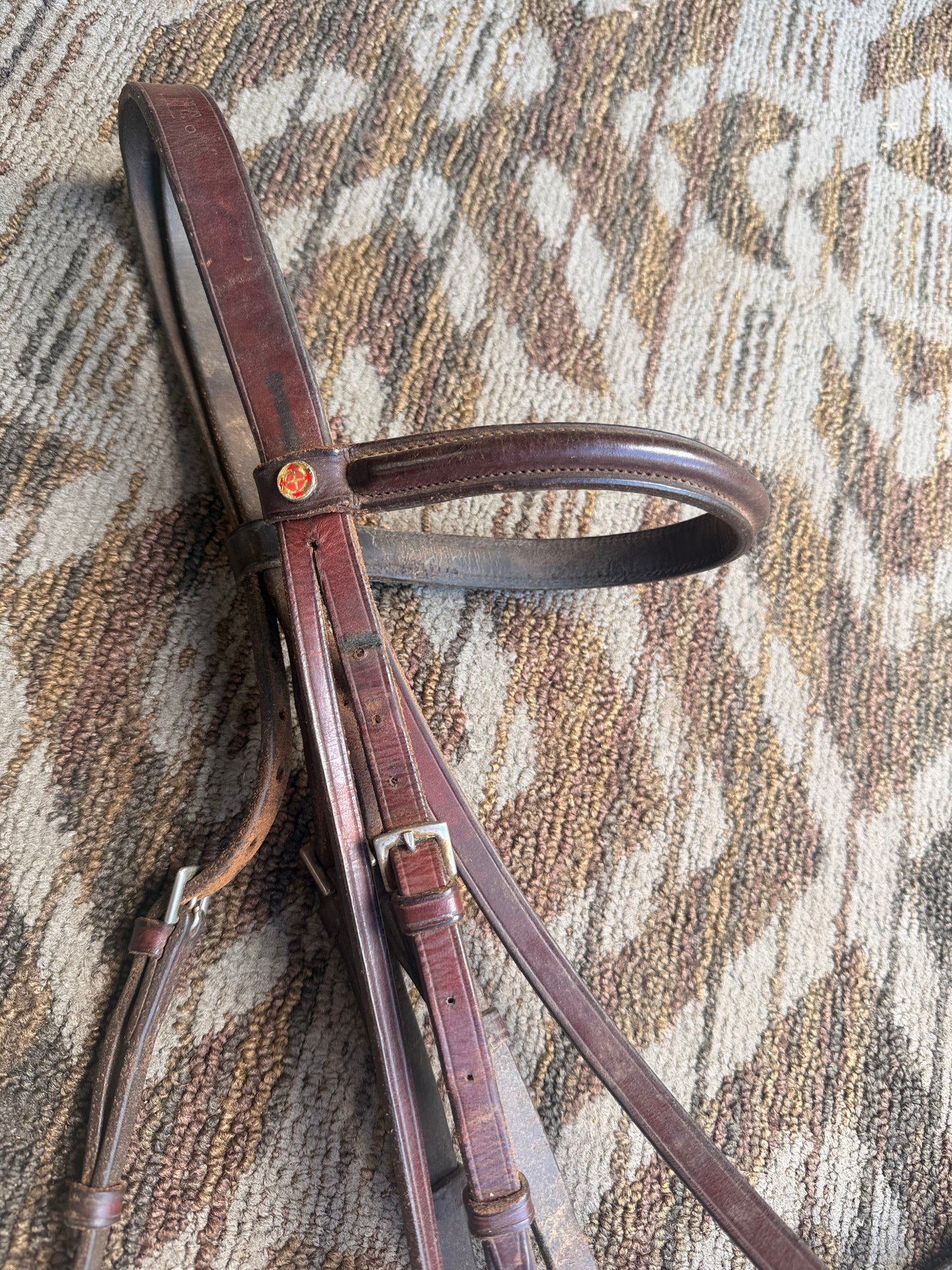Soft Courbette Bridle