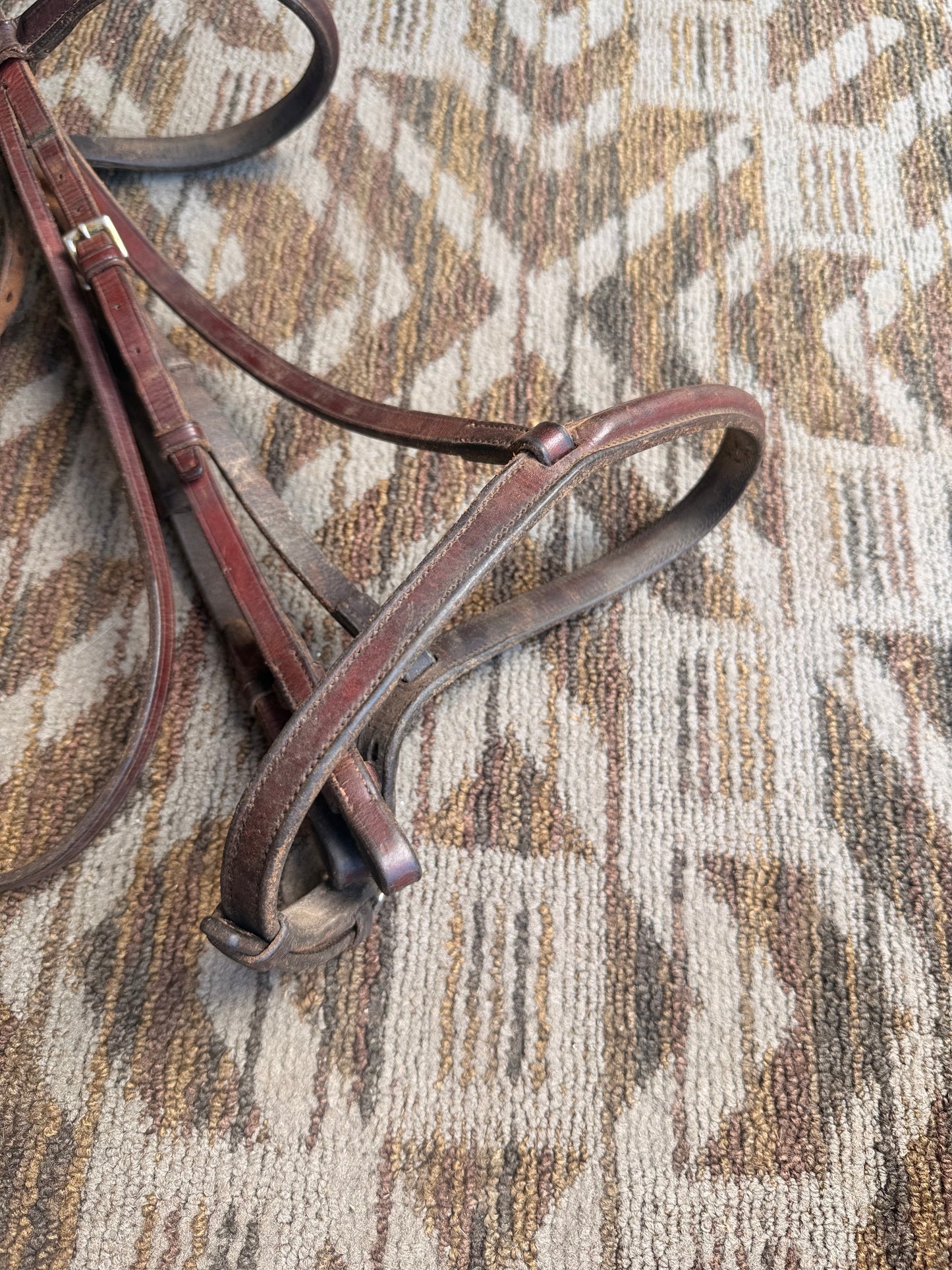 Soft Courbette Bridle