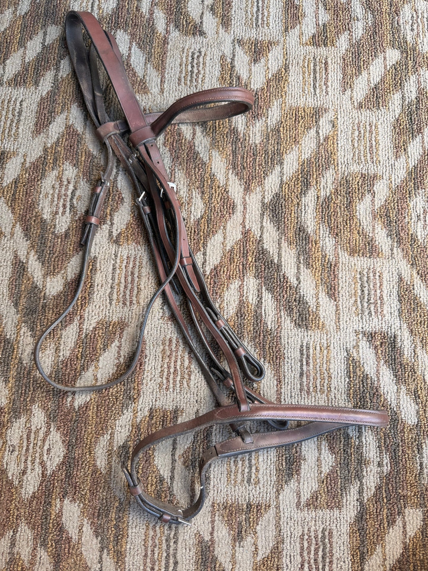 Brown Raised Bridle