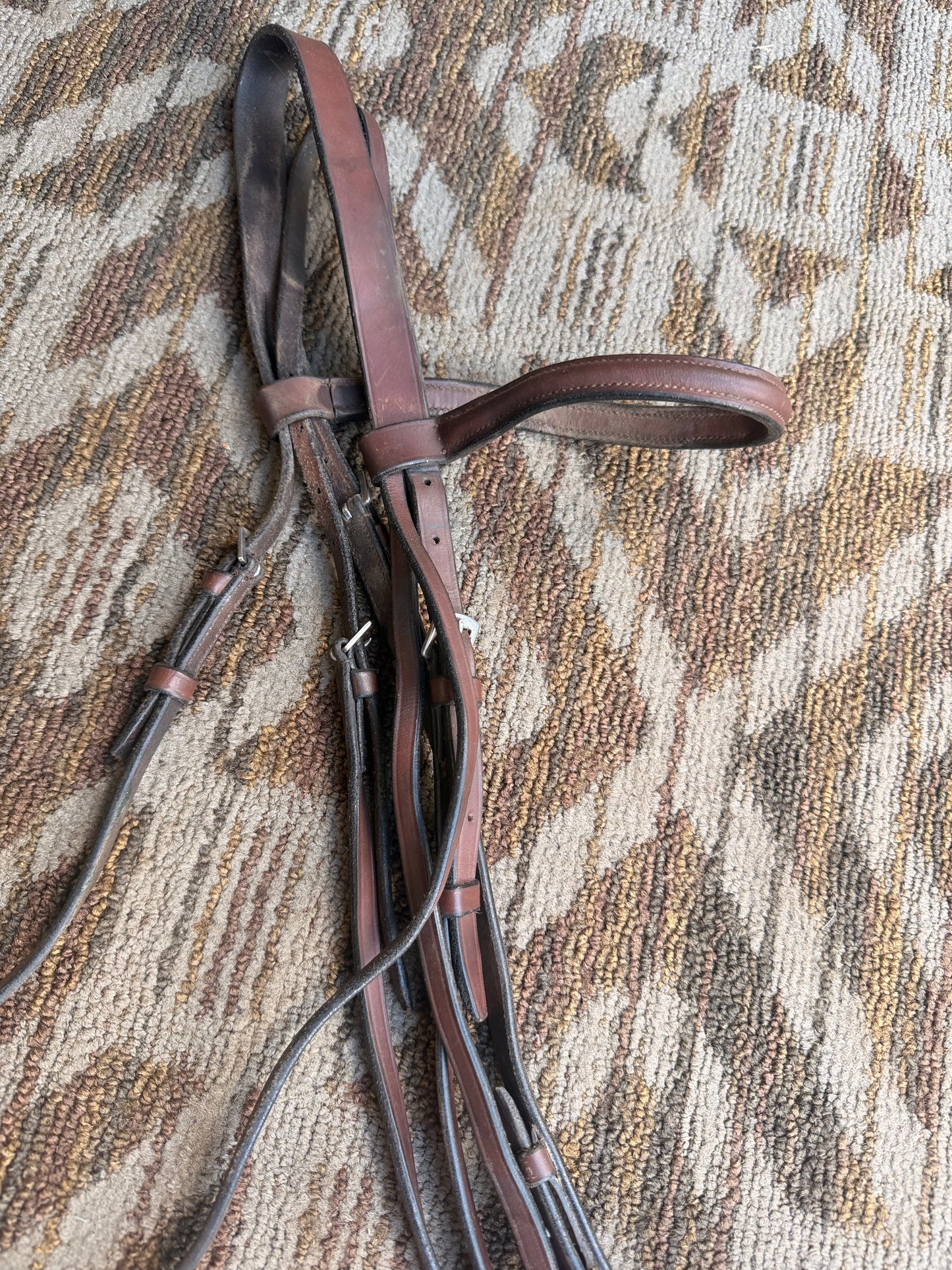 Brown Raised Bridle