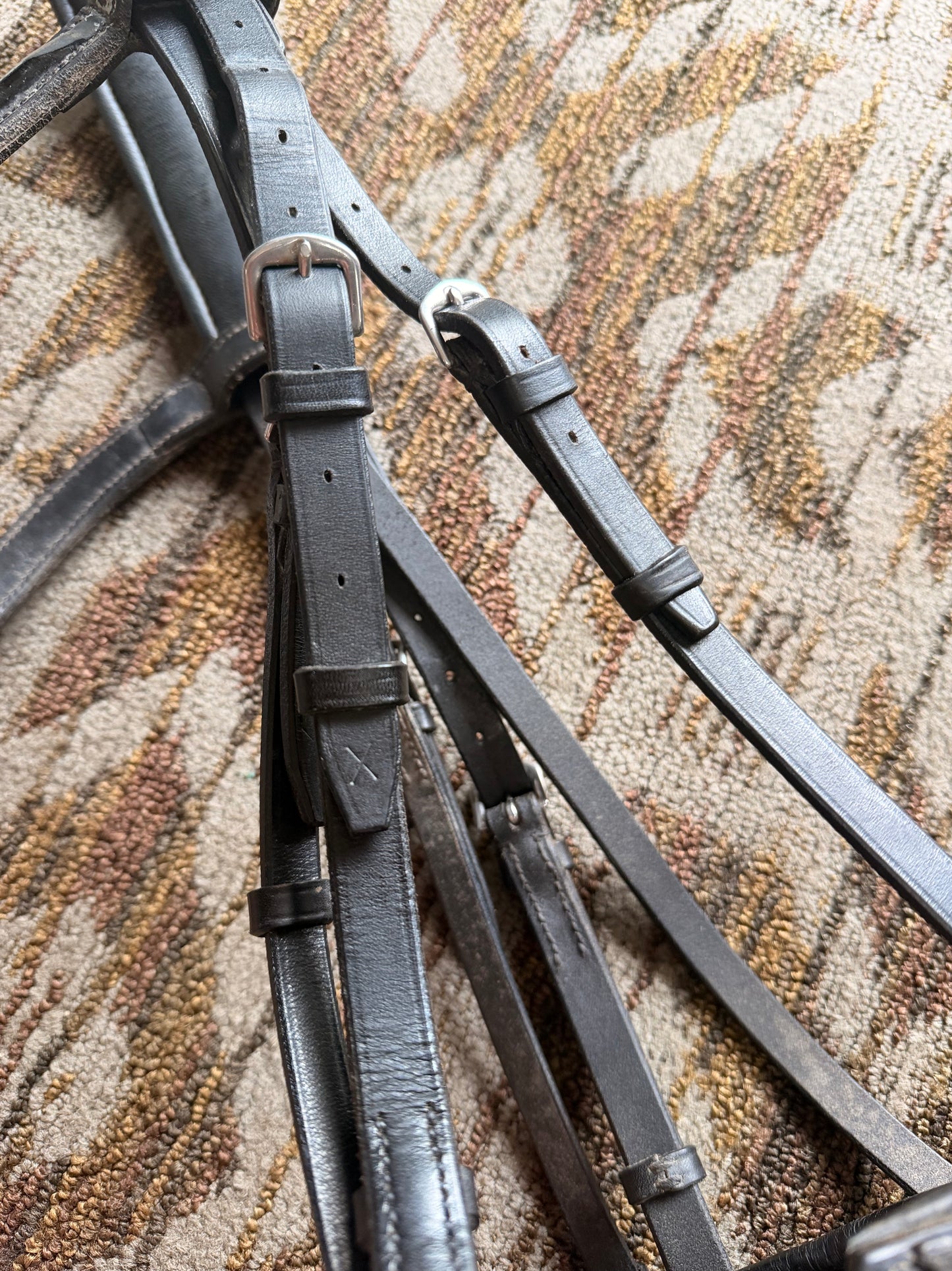 Padded Dressage Bridle w/ Thick Noseband