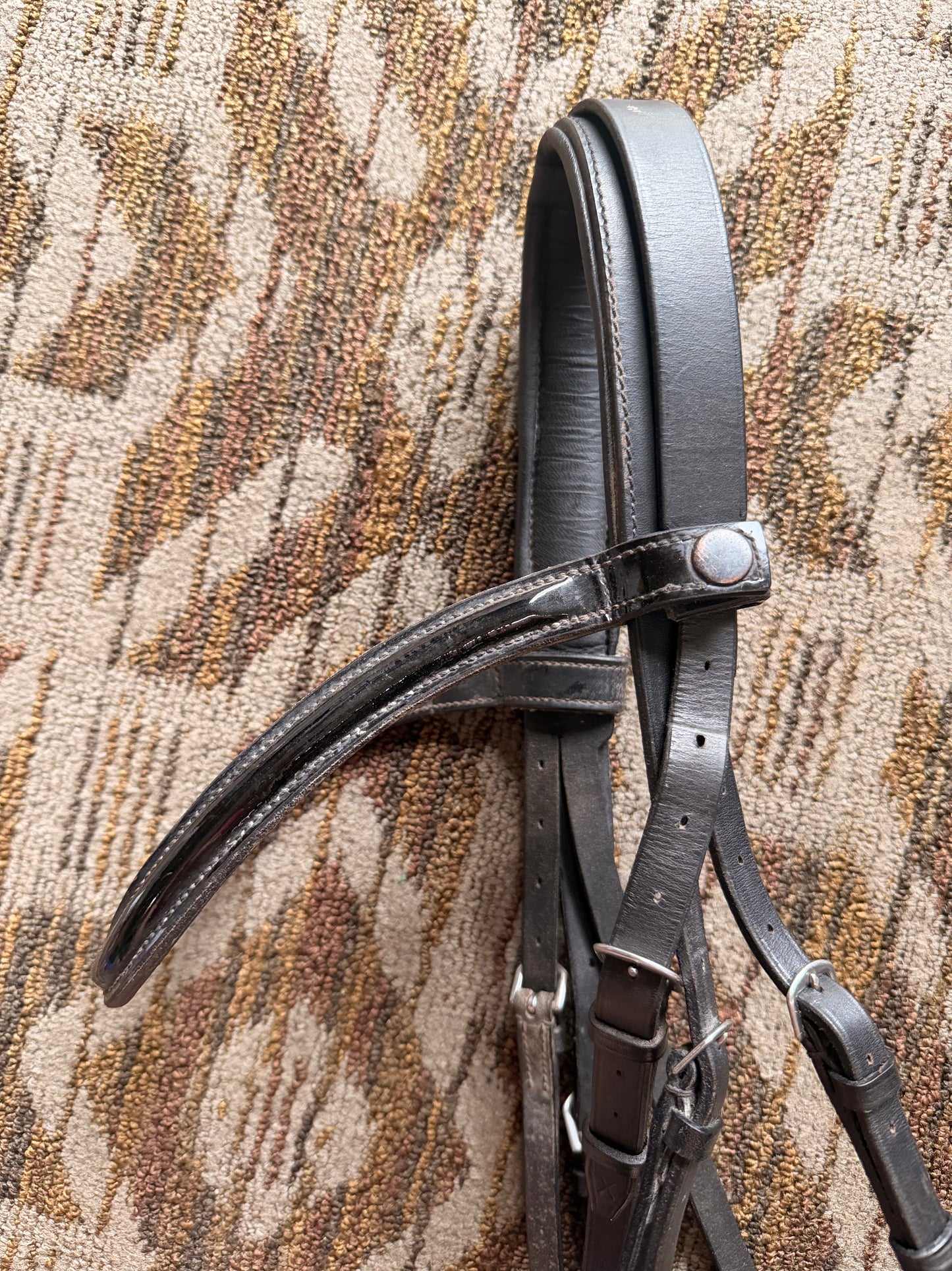Padded Dressage Bridle w/ Thick Noseband