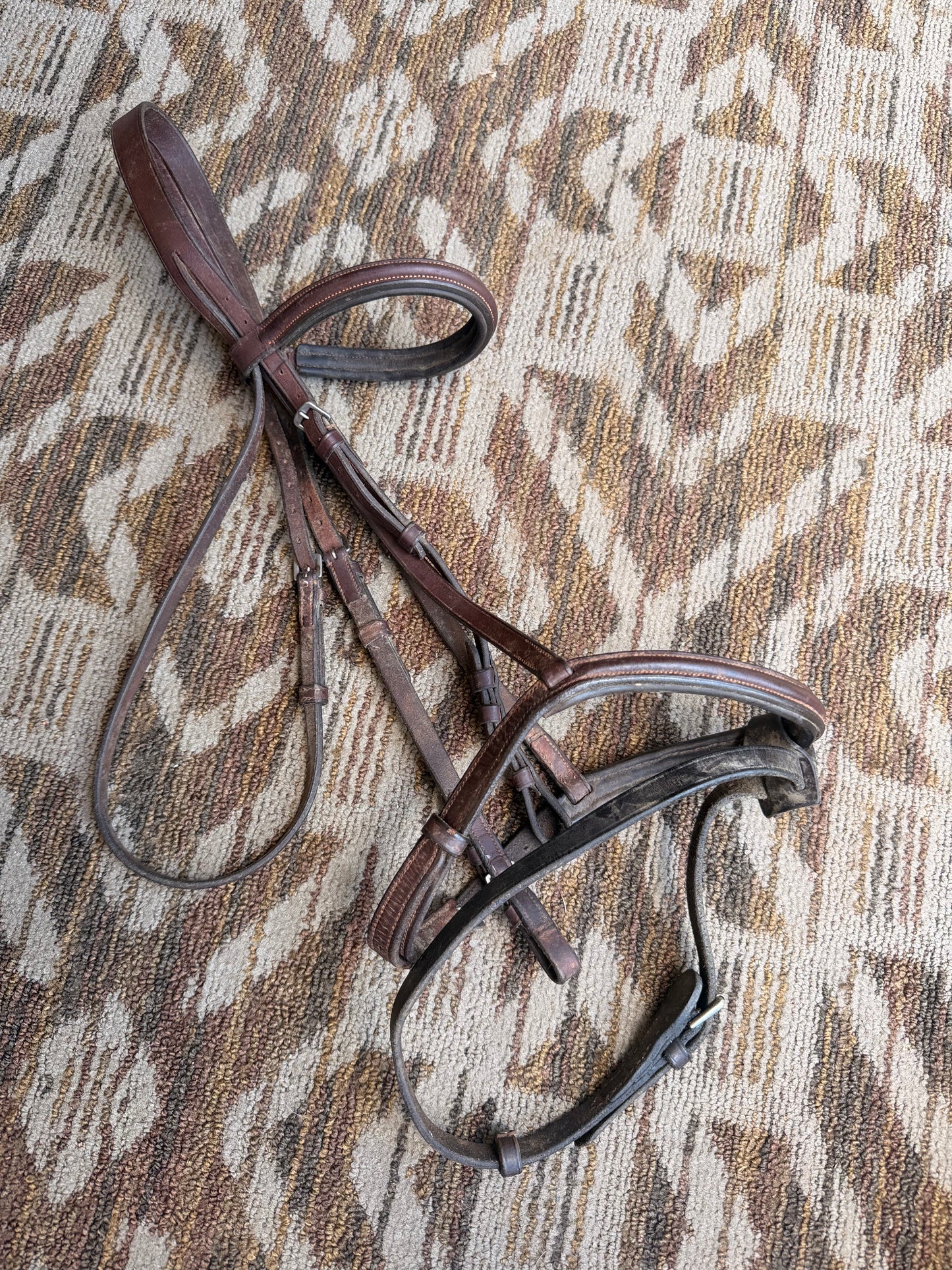 Somerset Bridle w/ Flash