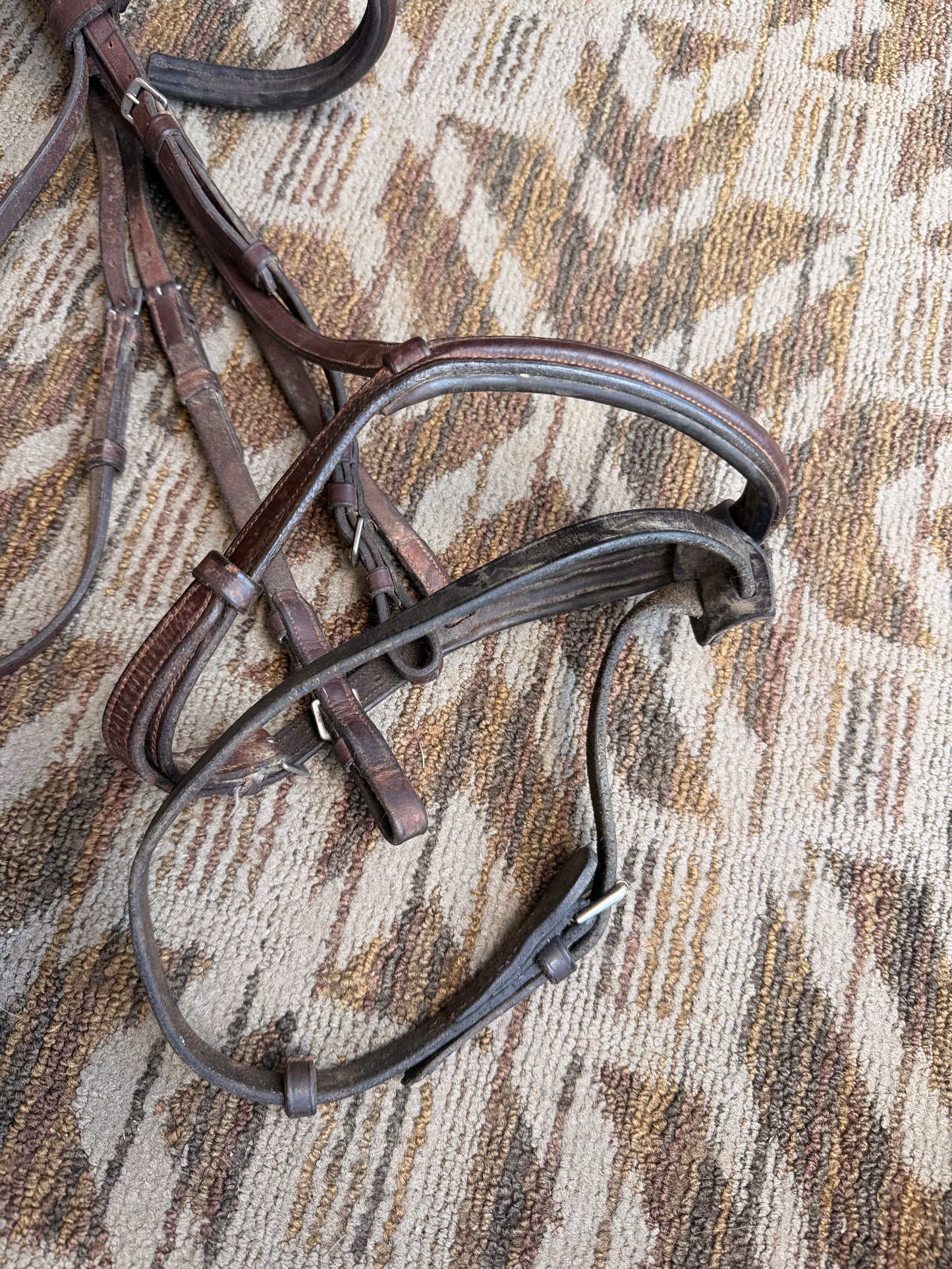 Somerset Bridle w/ Flash