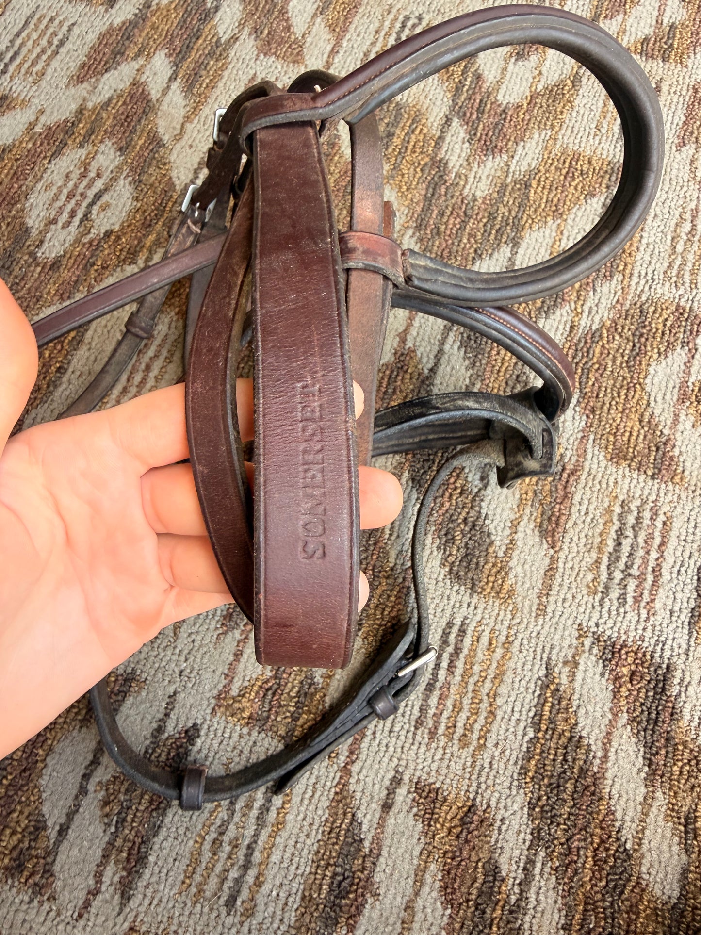 Somerset Bridle w/ Flash