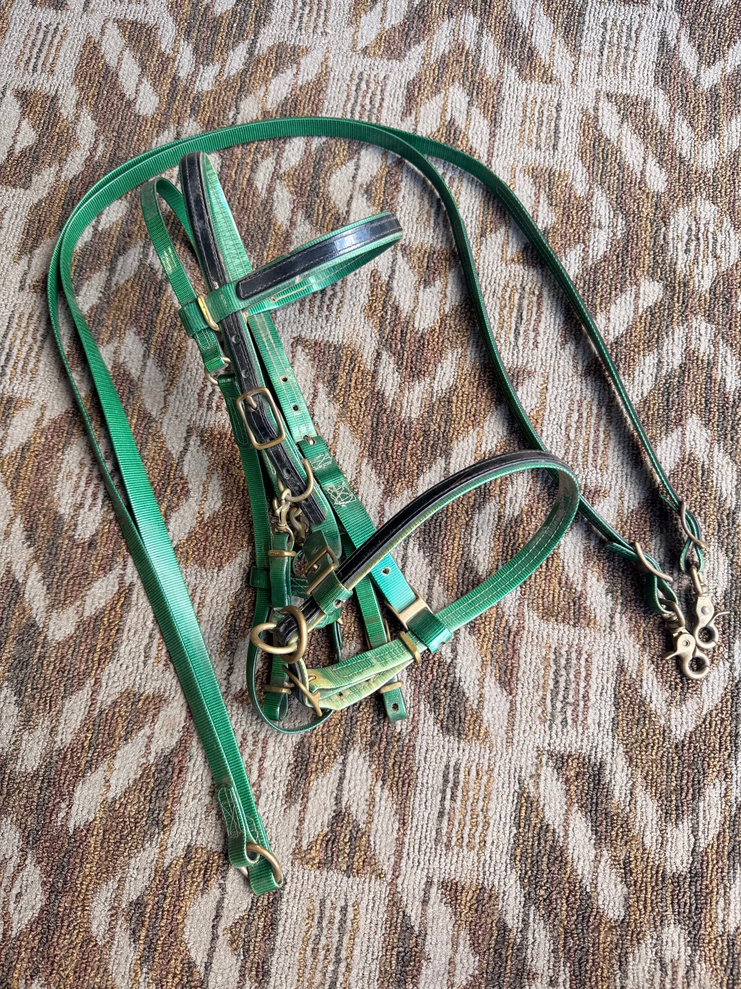 Green Biothane Halter Bridle w/ Reins
