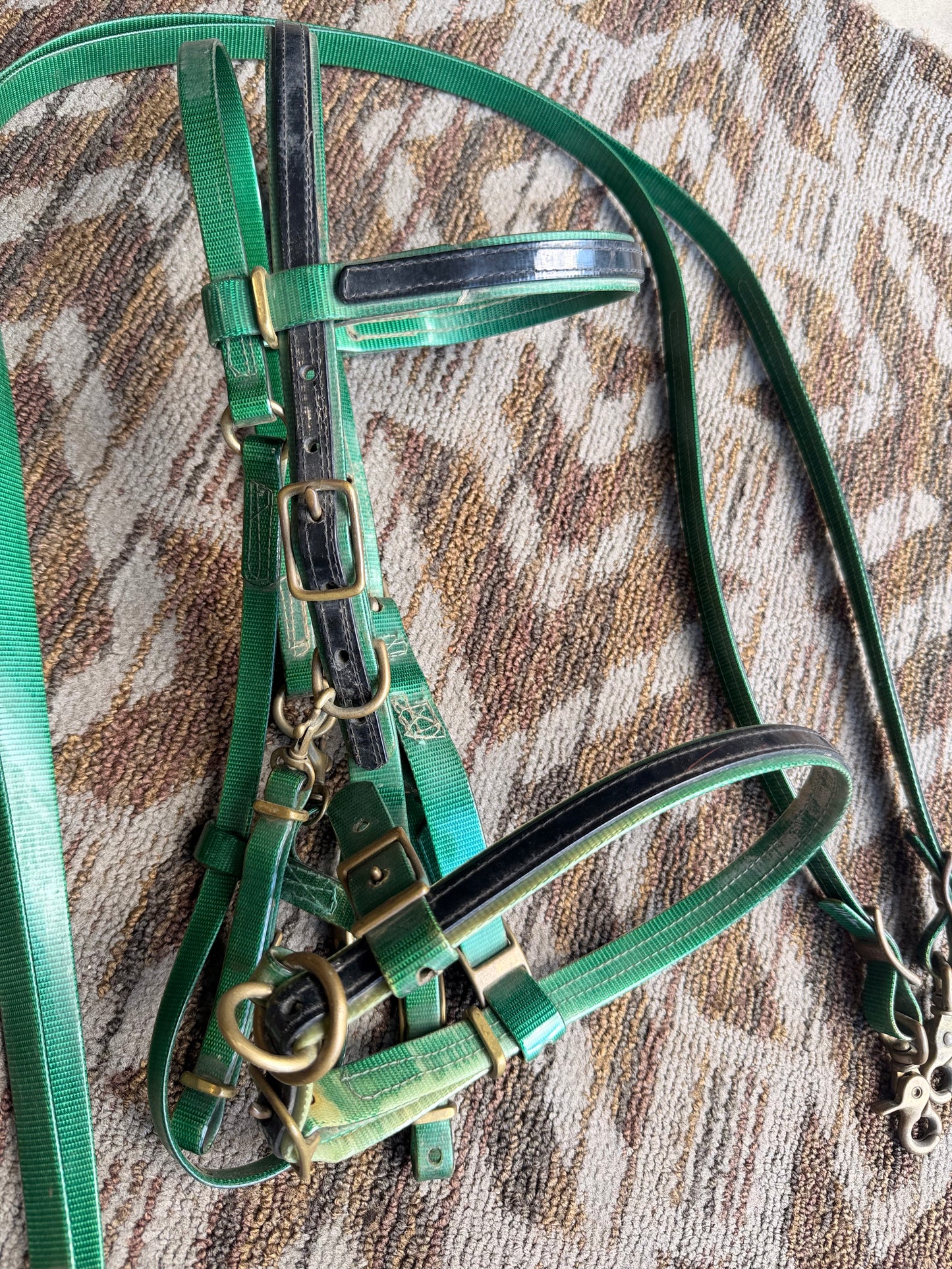 Green Biothane Halter Bridle w/ Reins