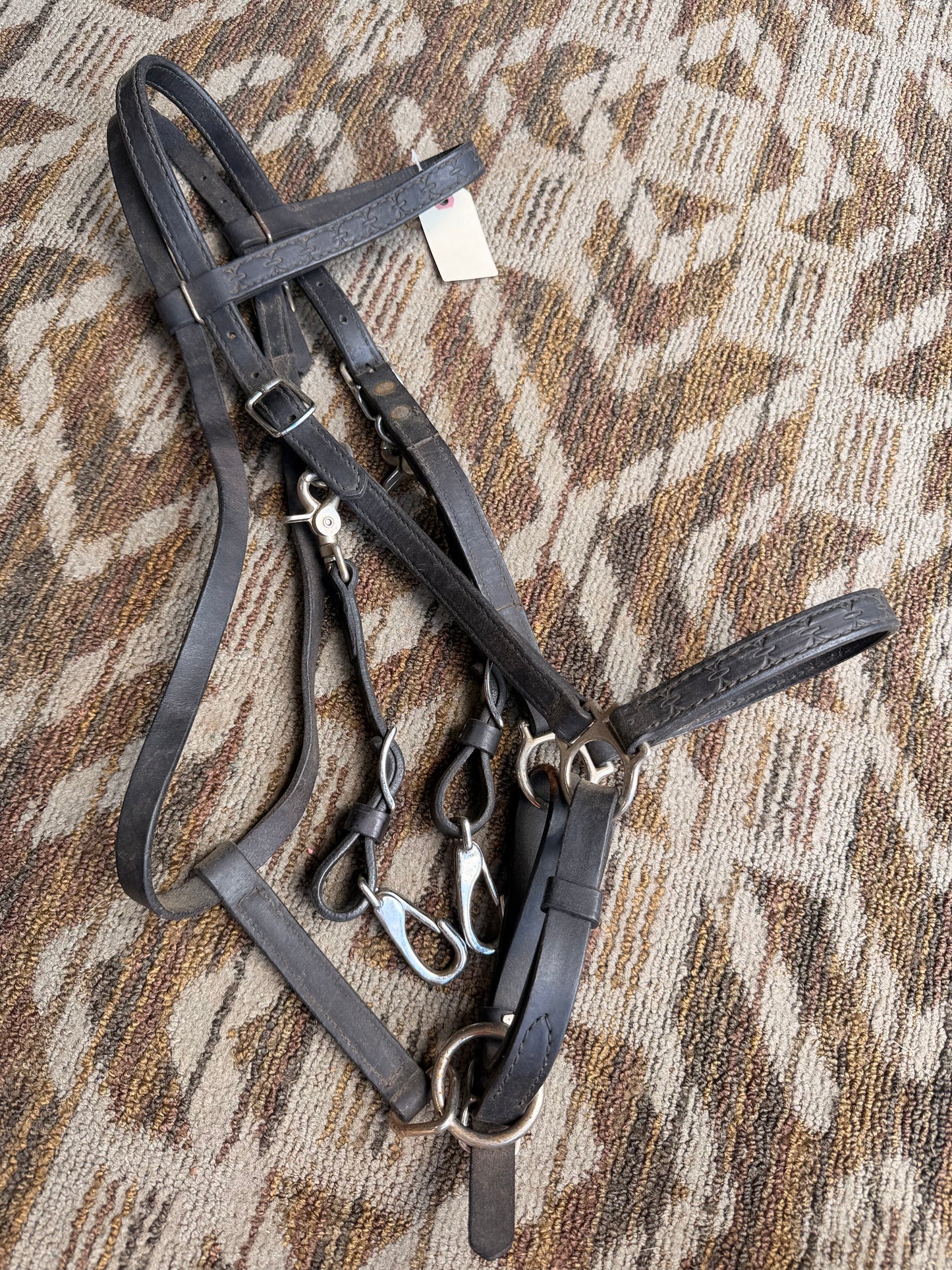 Tooled Circle Y Halter Bridle