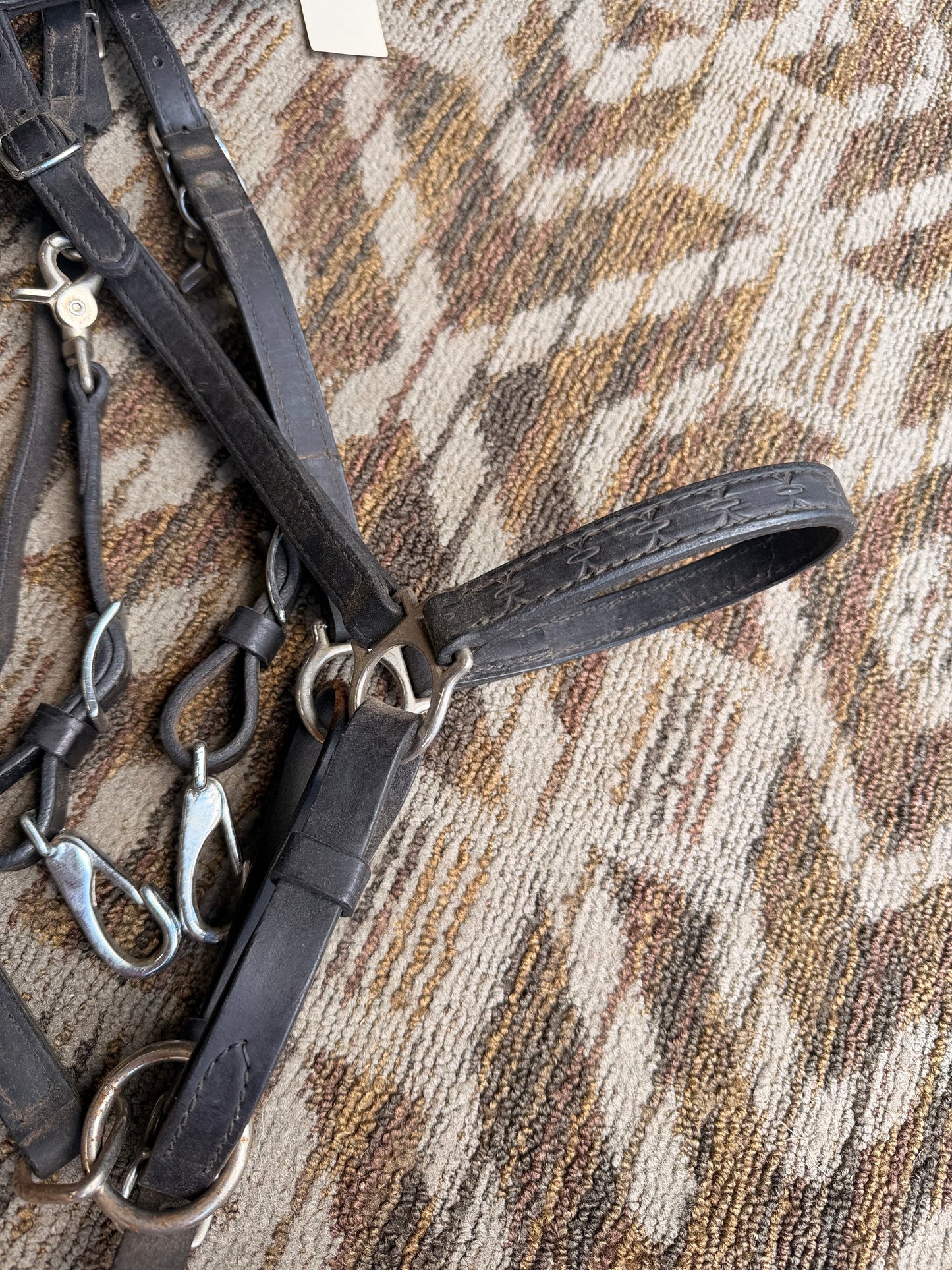 Tooled Circle Y Halter Bridle