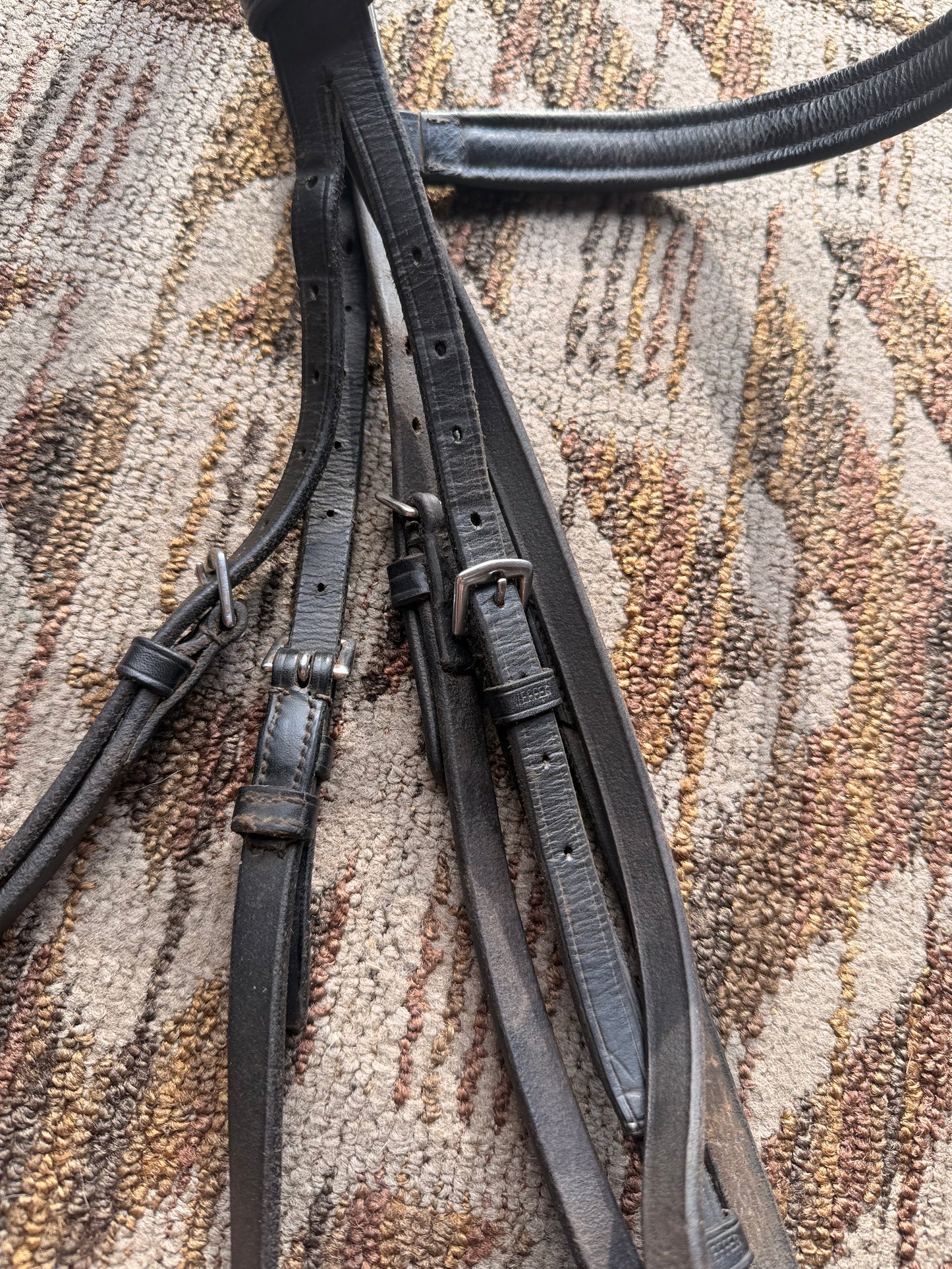 Kieffer Black Padded Bridle