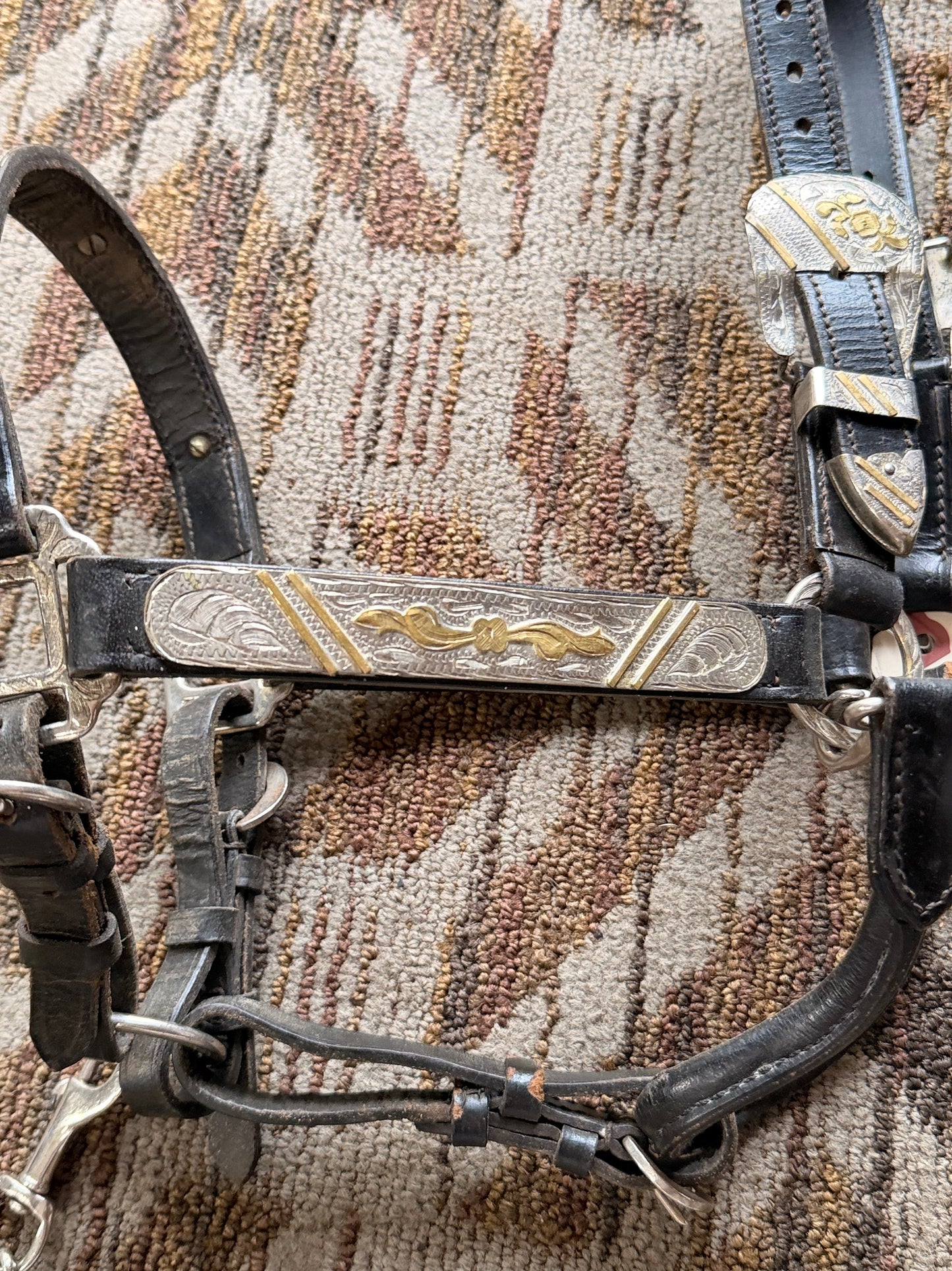 Black Show Halter w/ Lead