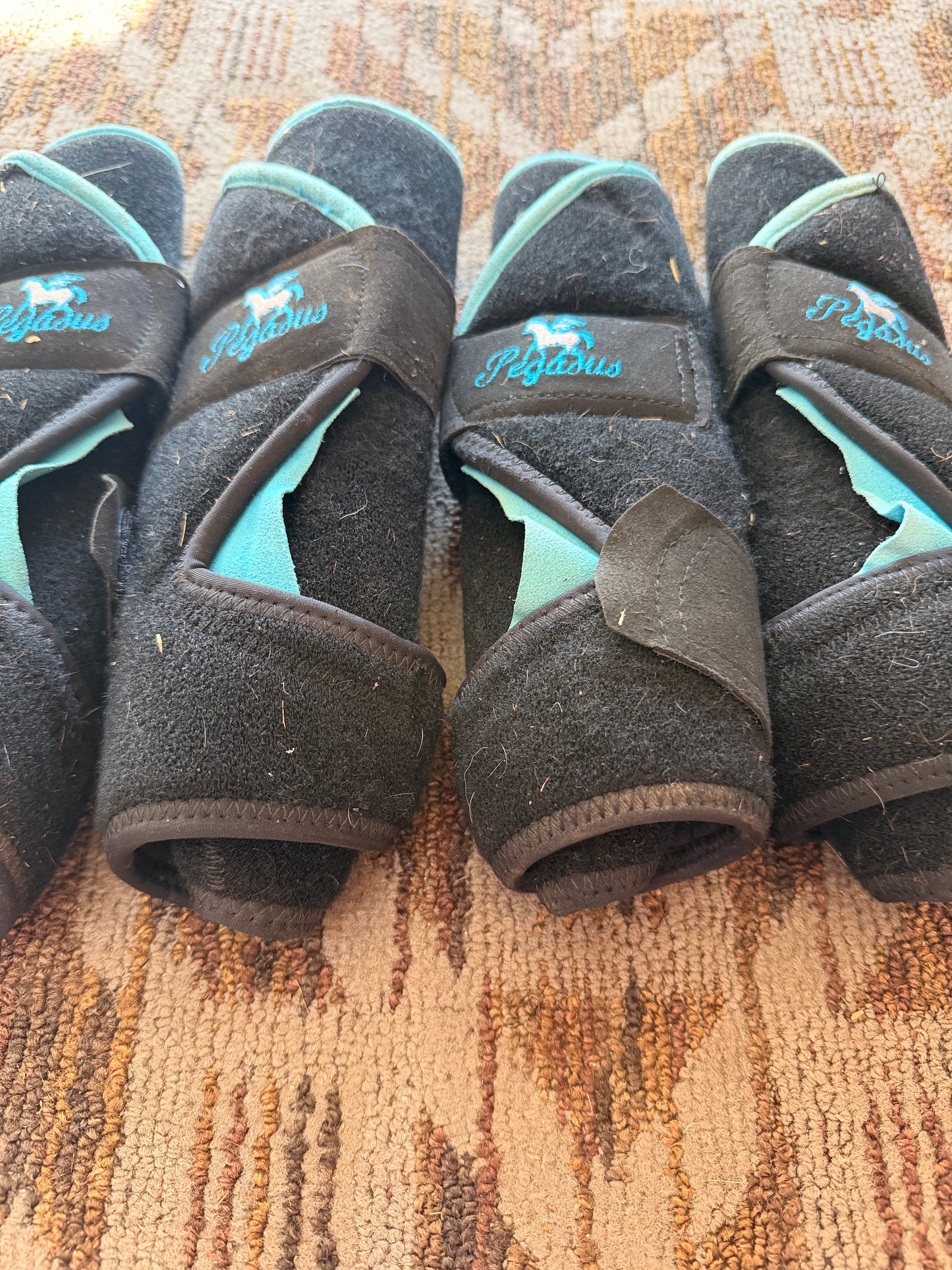 Pegasus Set of 4 Sport Boots