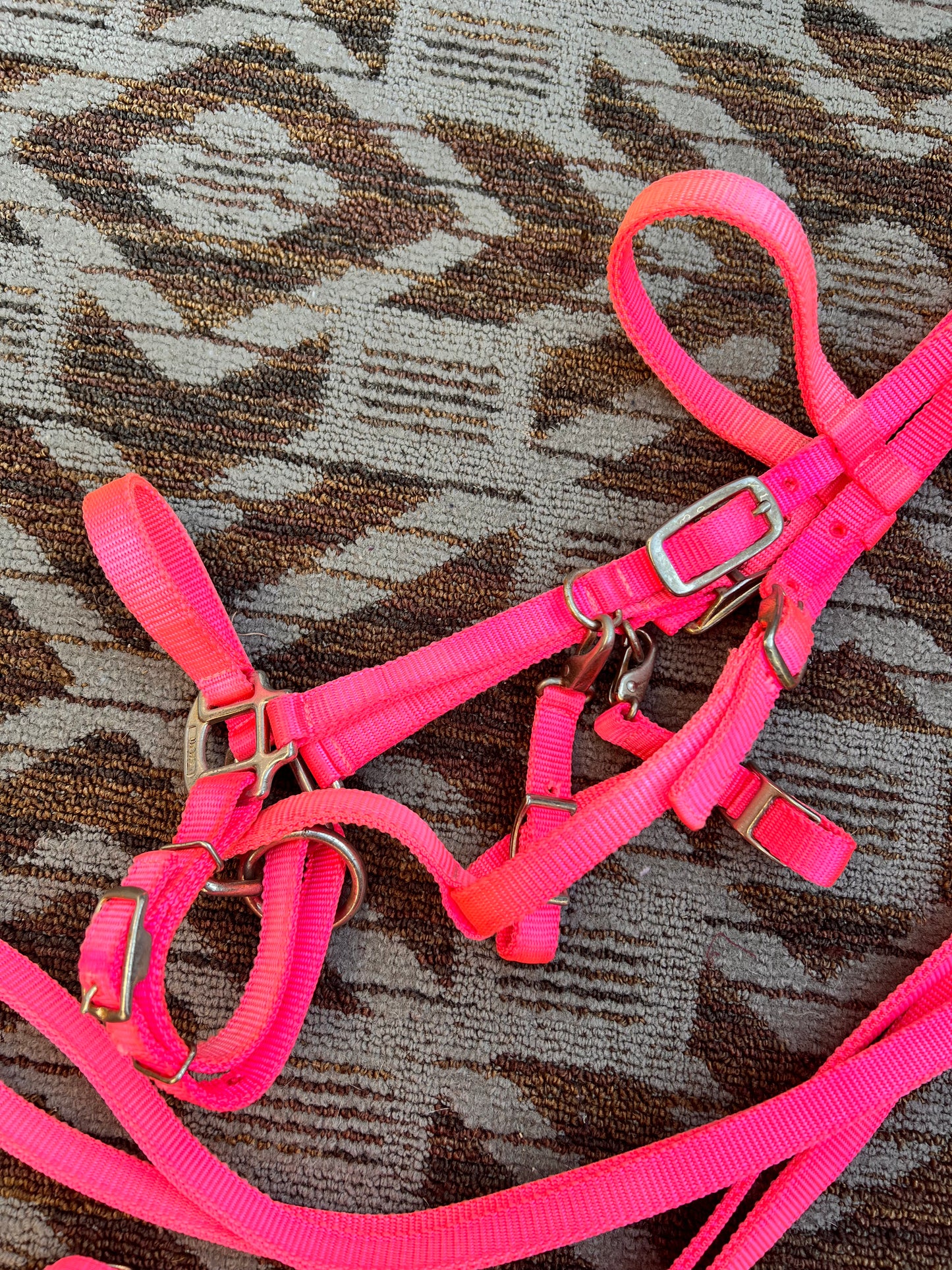 Pink Nylon Halter Bridle w/ Matching Reins