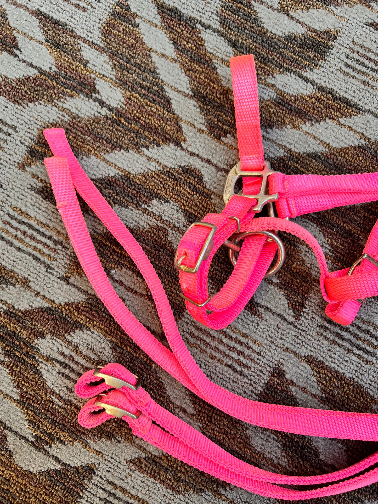 Pink Nylon Halter Bridle w/ Matching Reins