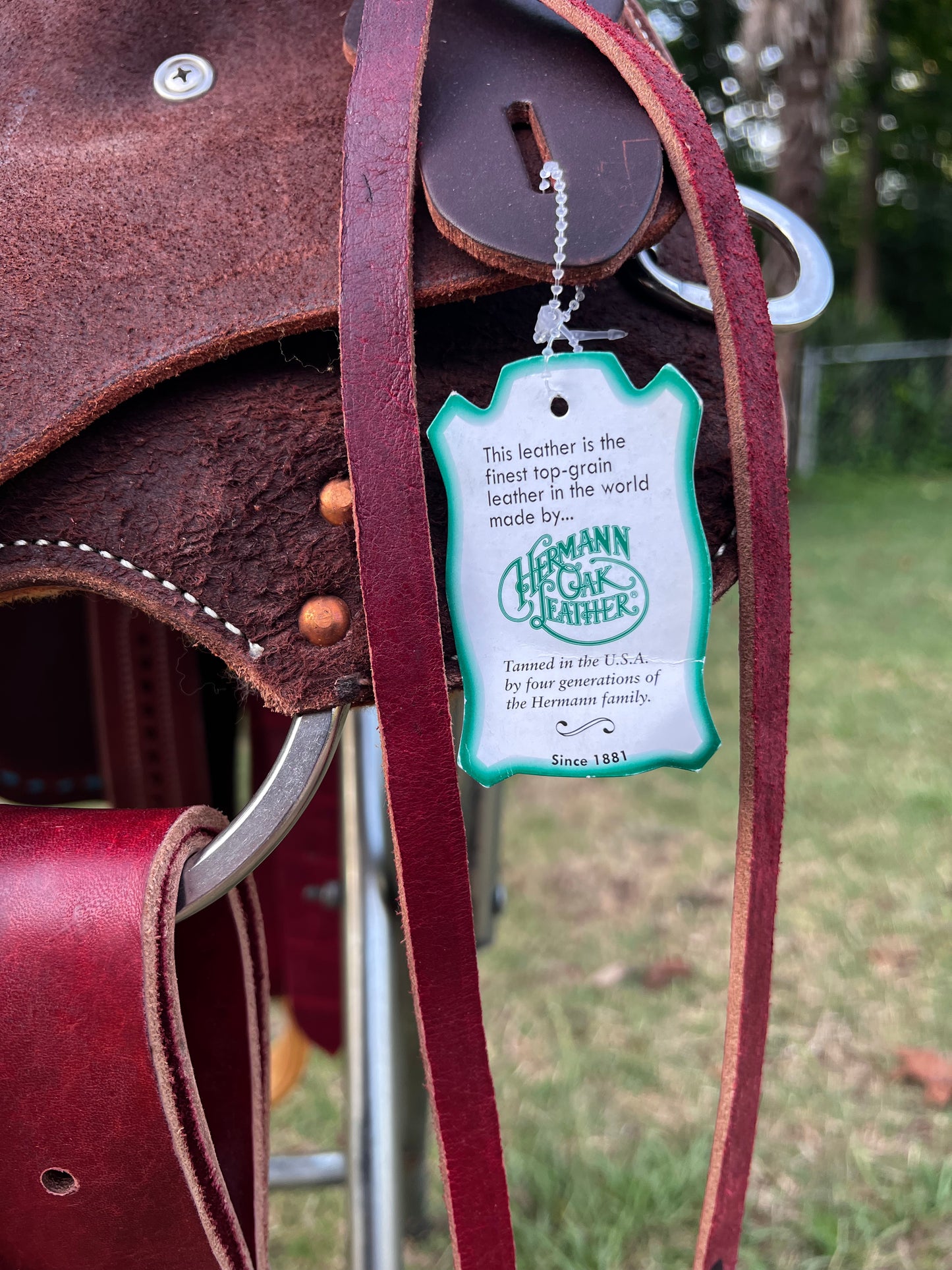 Robert Teskey Western Saddle