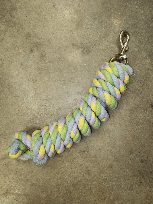 Multicolored Lead Rope