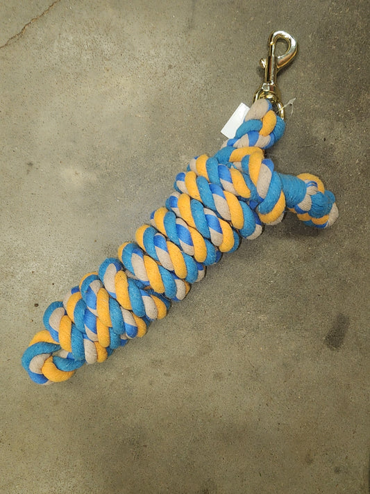 Multicolored Lead Rope