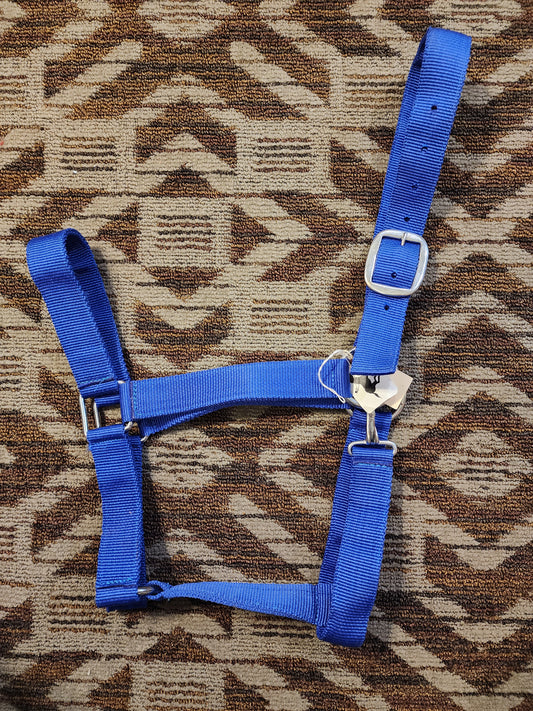Draft Halter