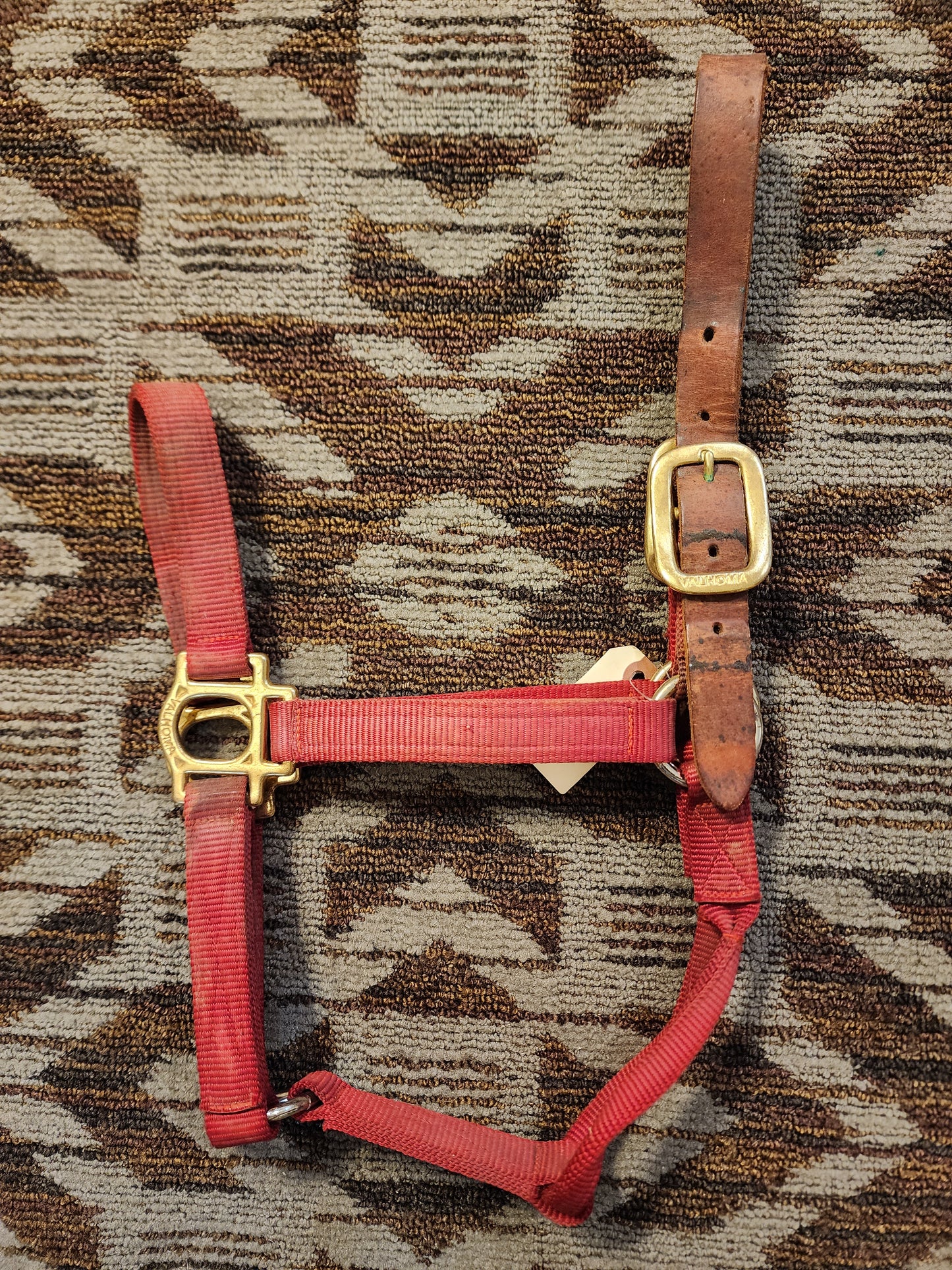 Valhoma Halter