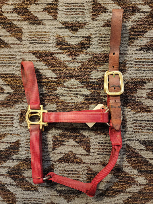Valhoma Halter