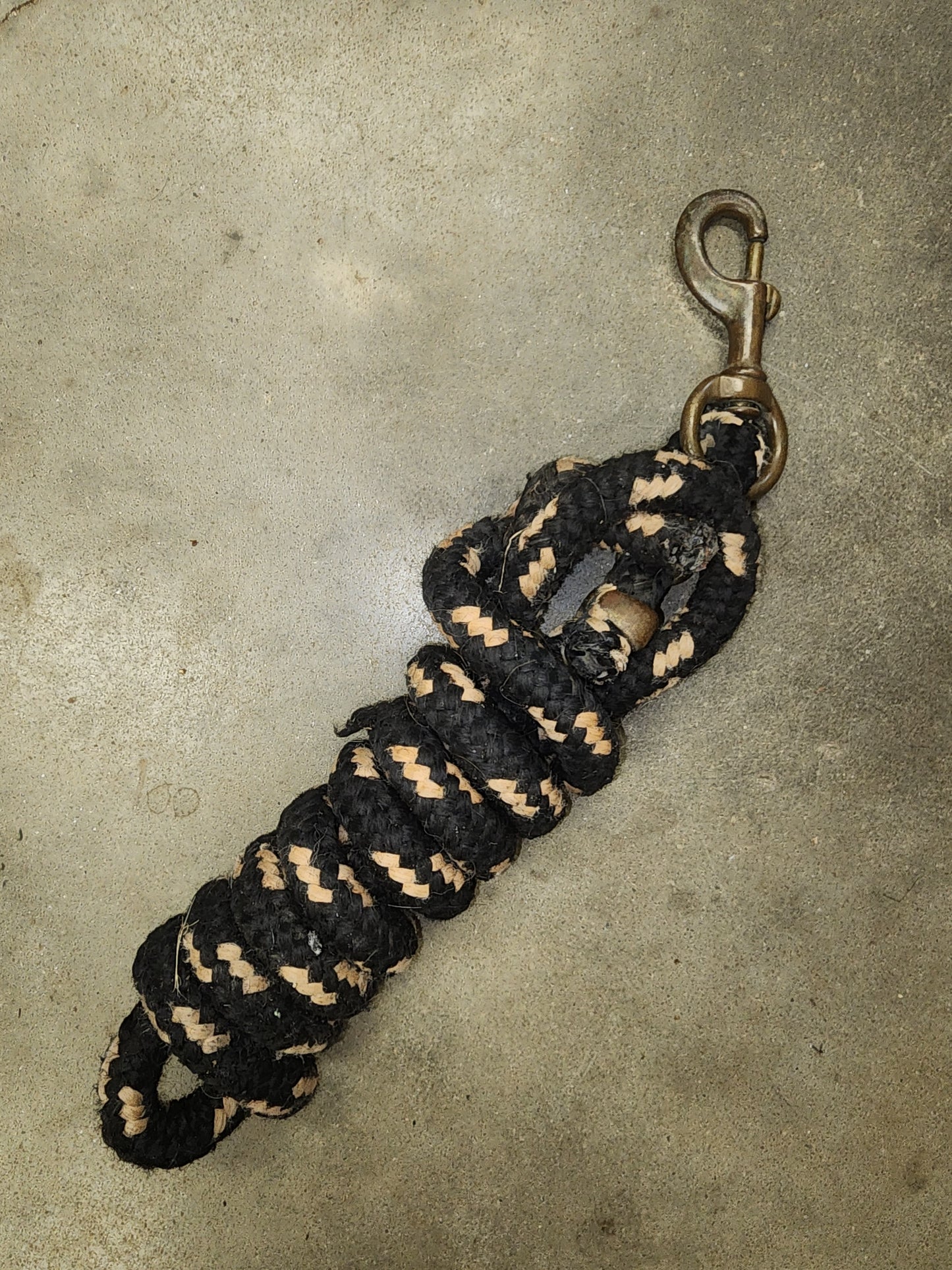 Black and Brown Lead Rope